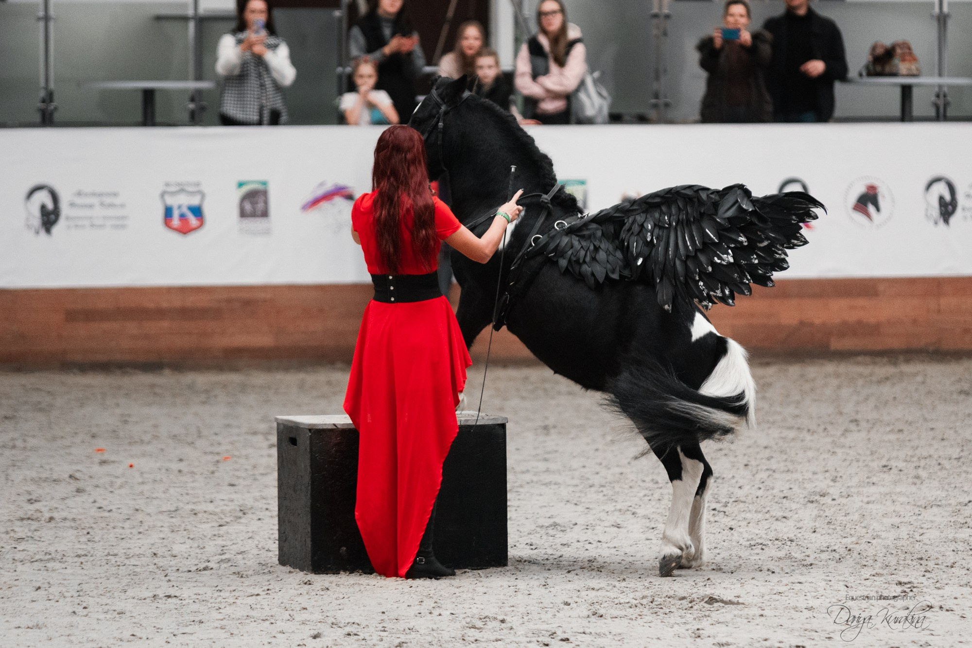 8-я международная выставка Конная Россия. Конный фотограф Куракина Дарья • Фотосессии с лошадьми