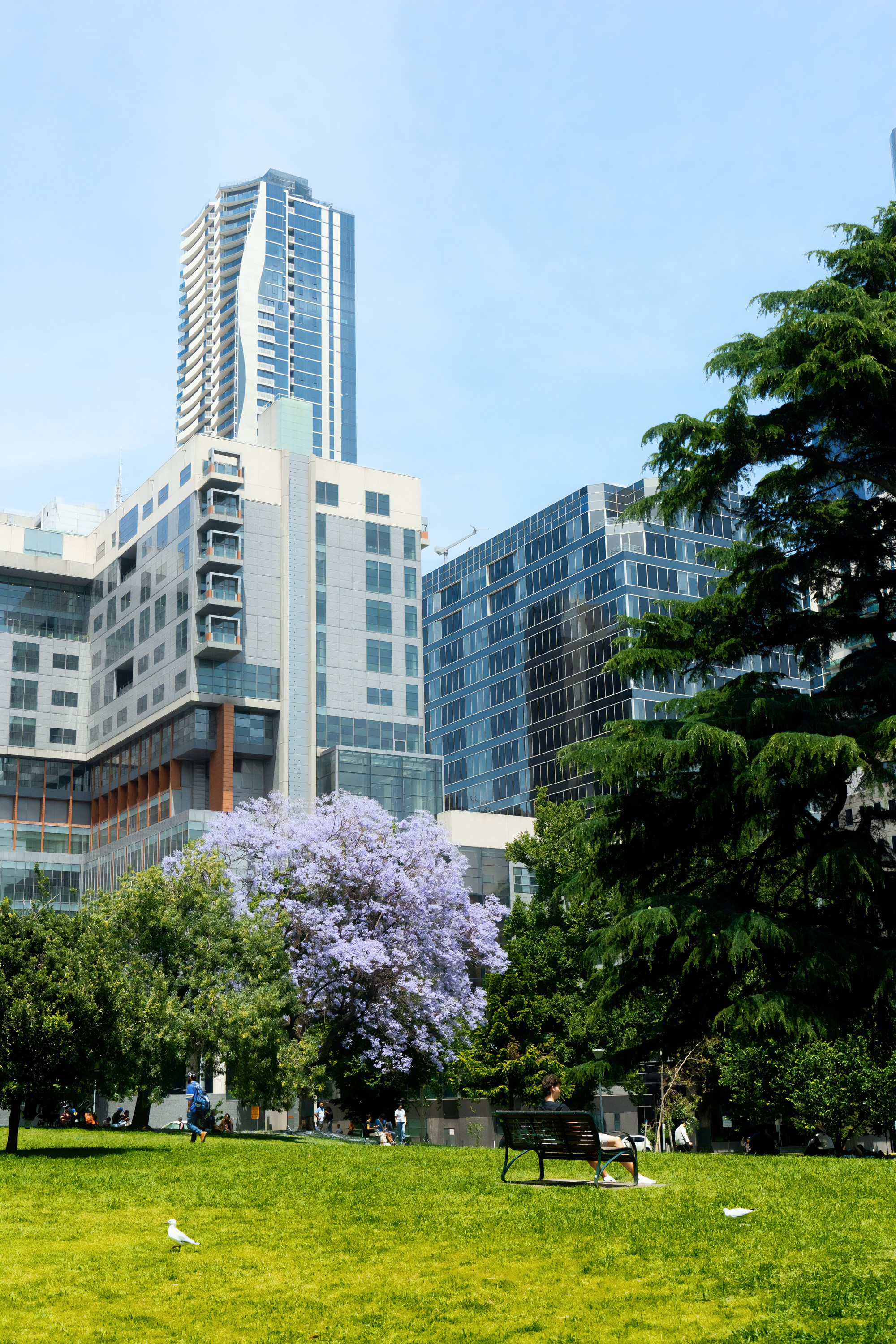 Австралия. Фотограф в Хабаровске. Фотография за 24 часа