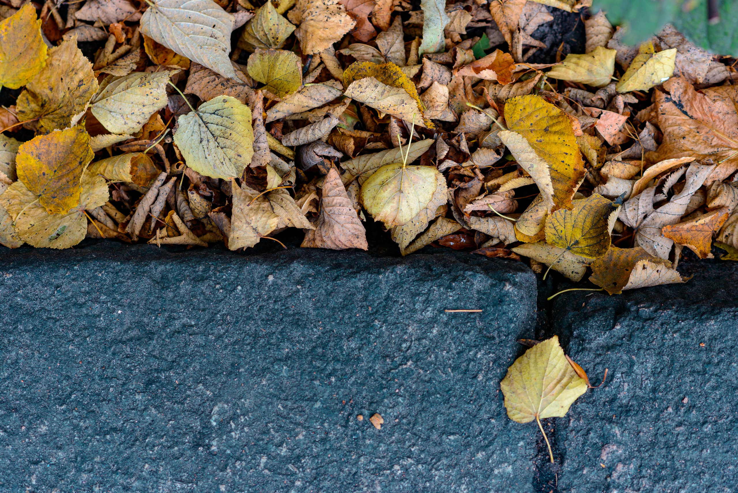 SAINT PETERSBURG. Personal website of photographer Dmitry Raikin