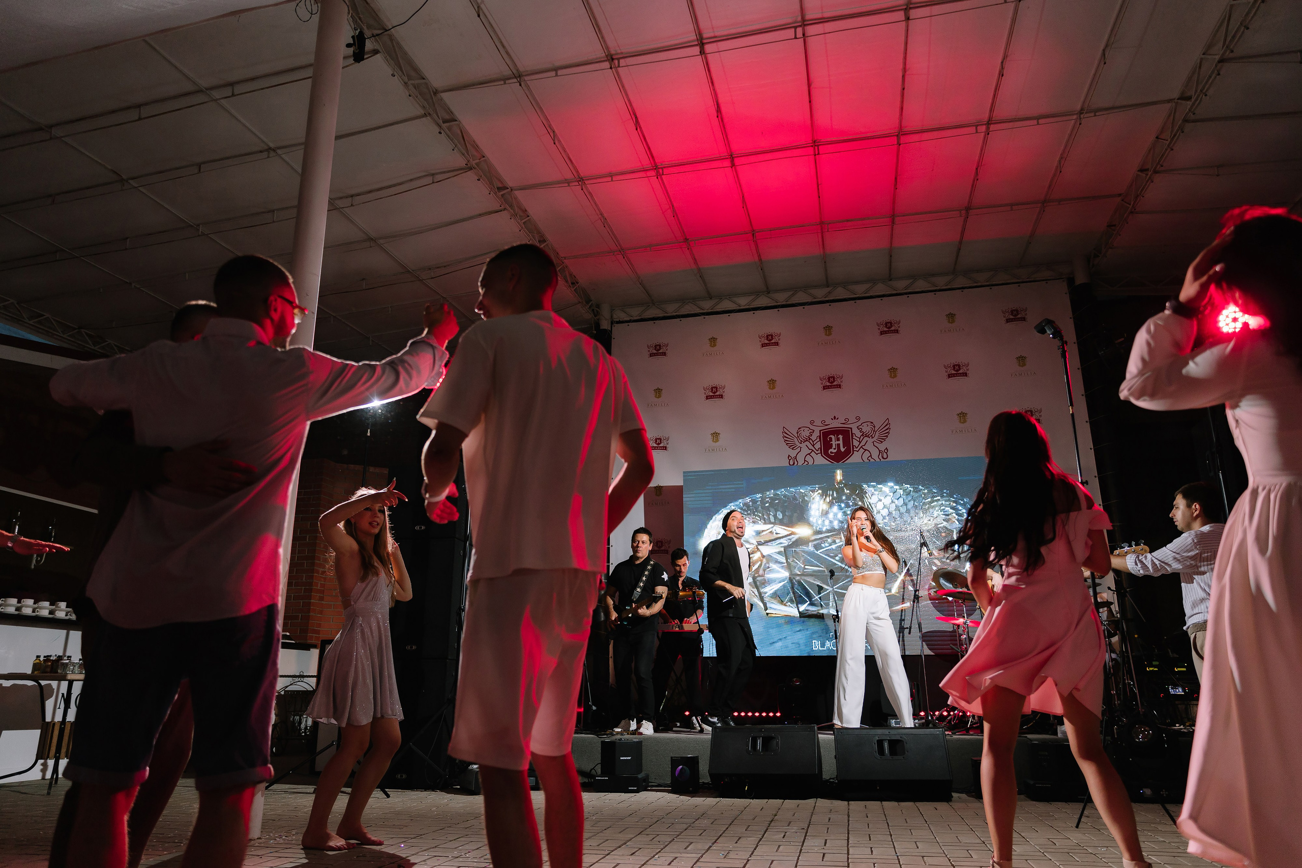 Бабочки. Фотограф Елена Краснопевцева