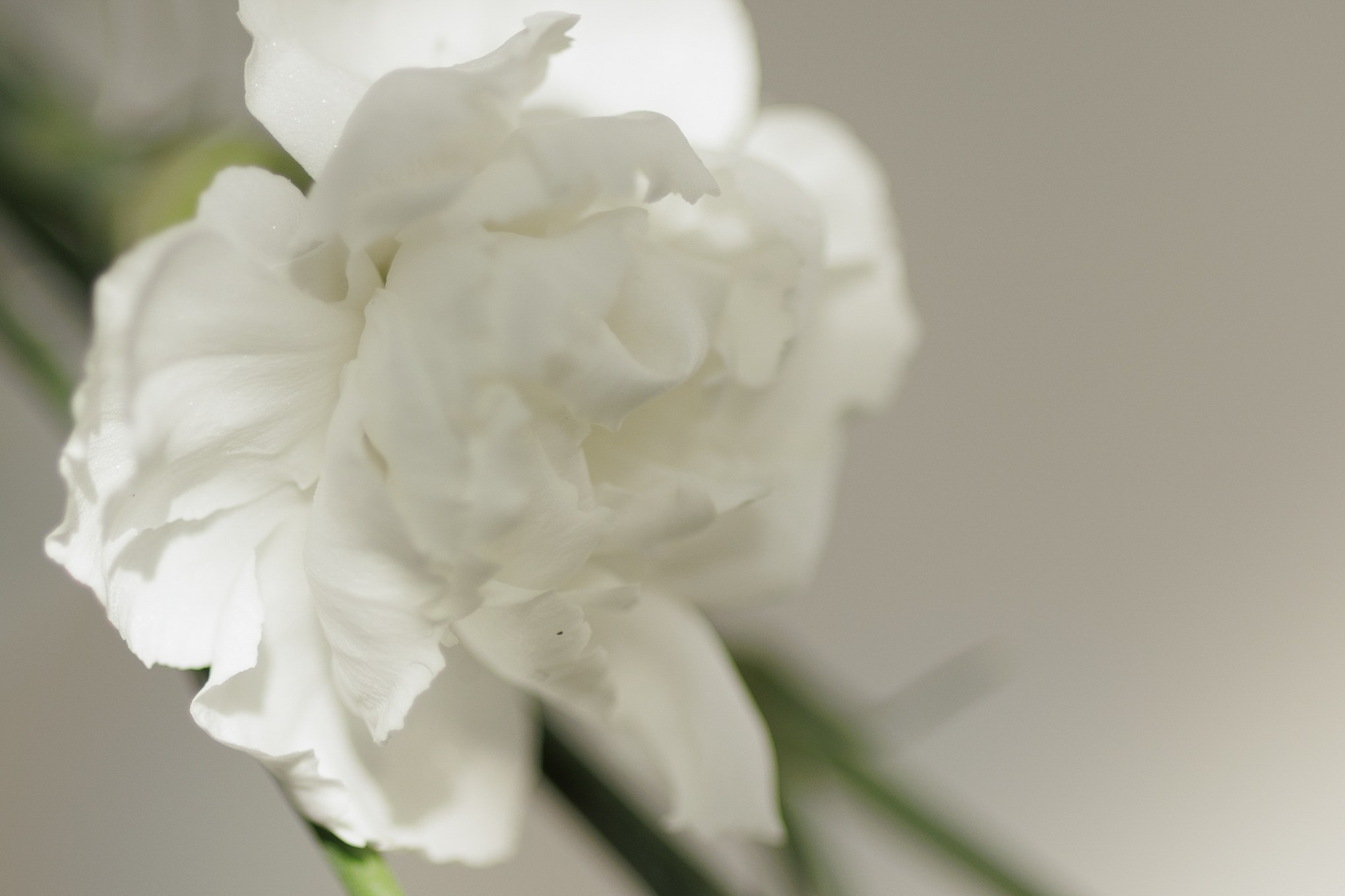 Теплый апрель!. Свадебный фотограф в Ростове-на-Дону Базарова Анастасия