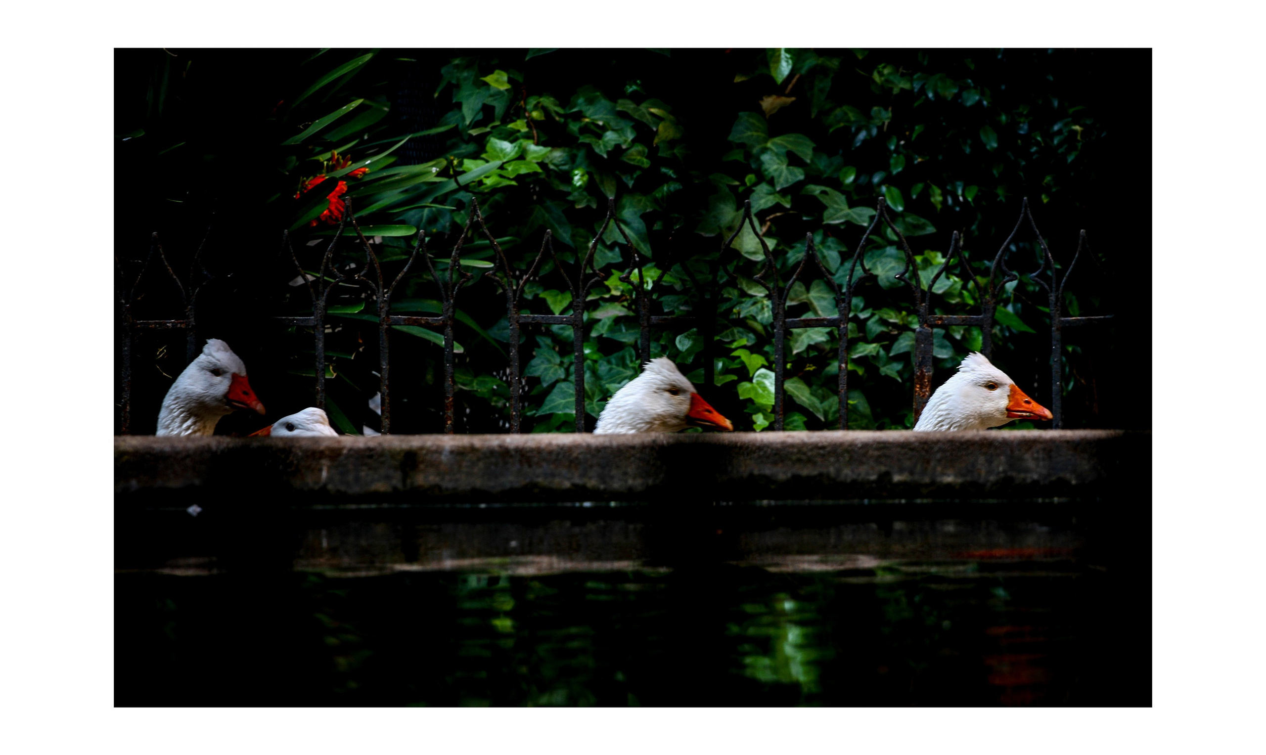 Фотографии из Европейских городов для интерьеров. Фотографии Руслана Сайдалиева (Рус Сай)
