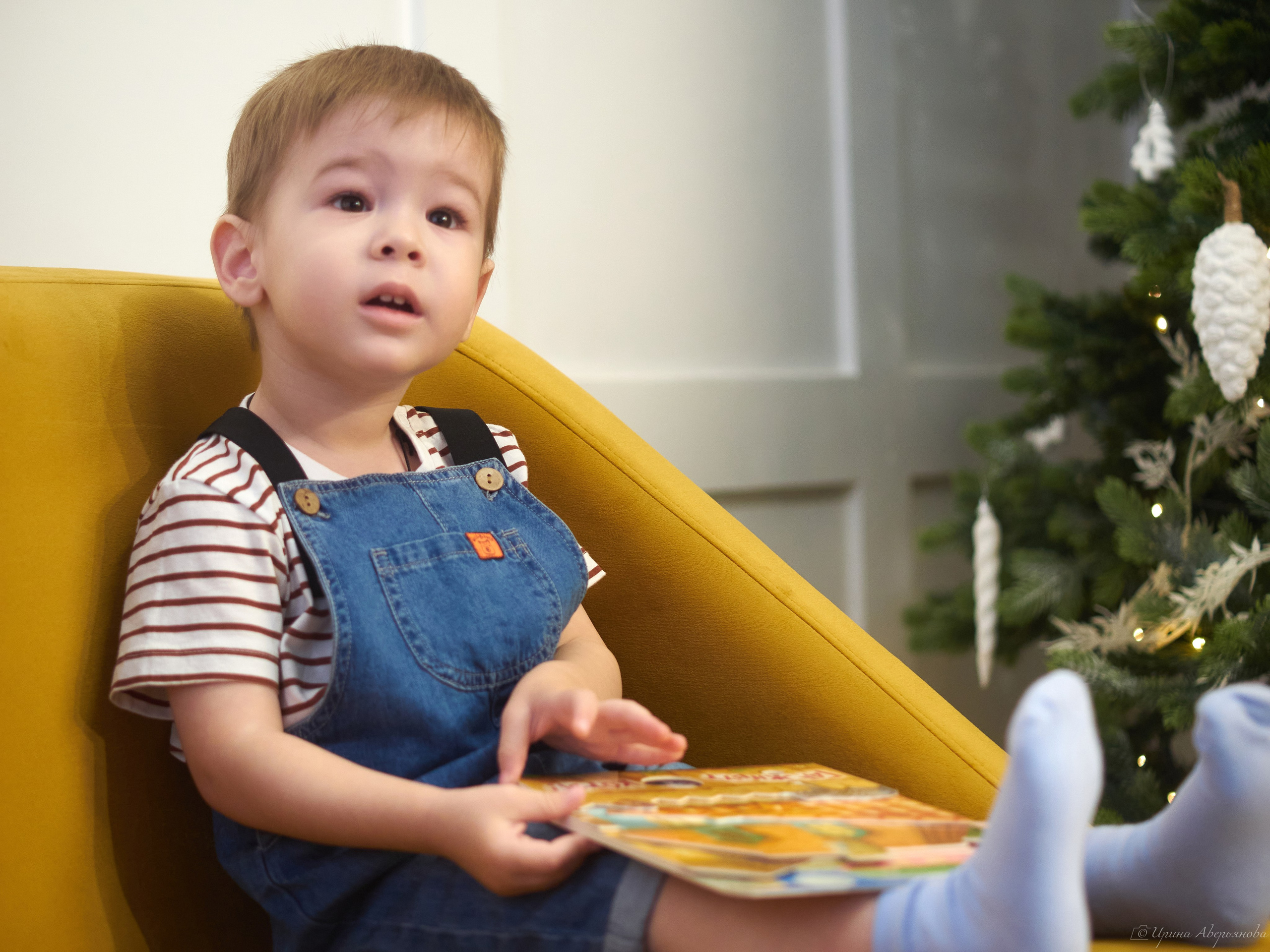 Новогодние. Фотограф в Ульяновске Ирина Аверьянова