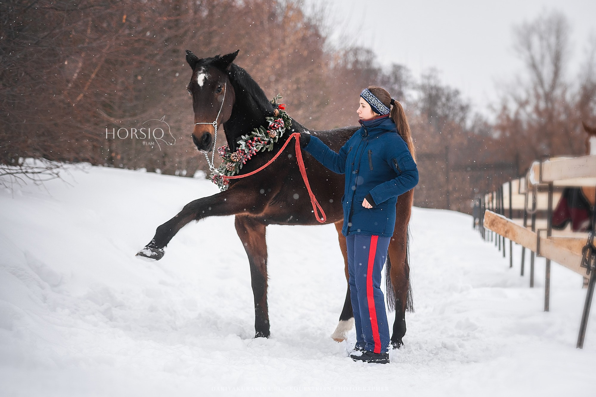 Димонс, HORSIO. Конный фотограф Куракина Дарья • Фотосессии с лошадьми