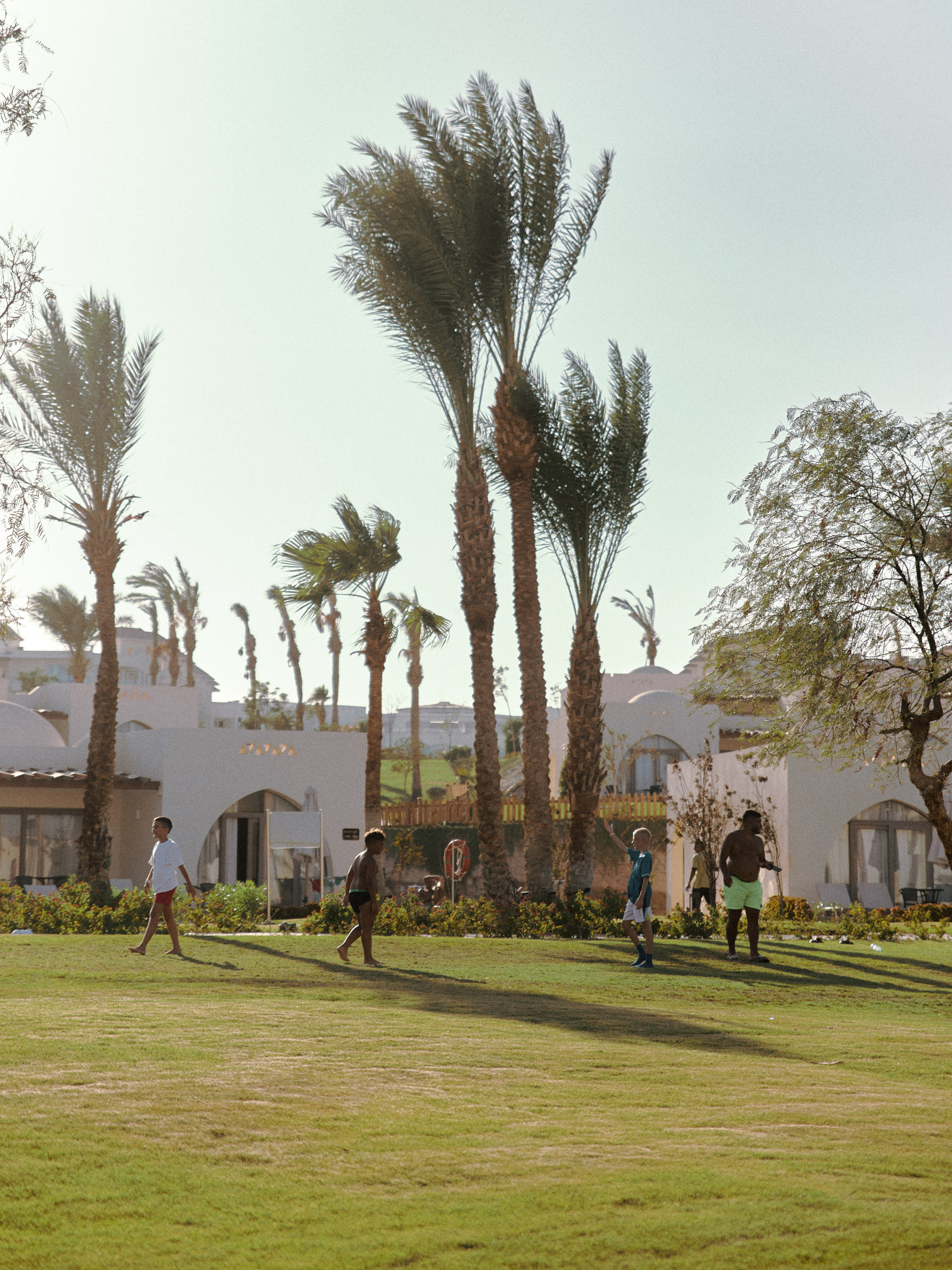 Природа сквозь. Jorgis Talè — photographer, kind person, teacher of arts and other mag