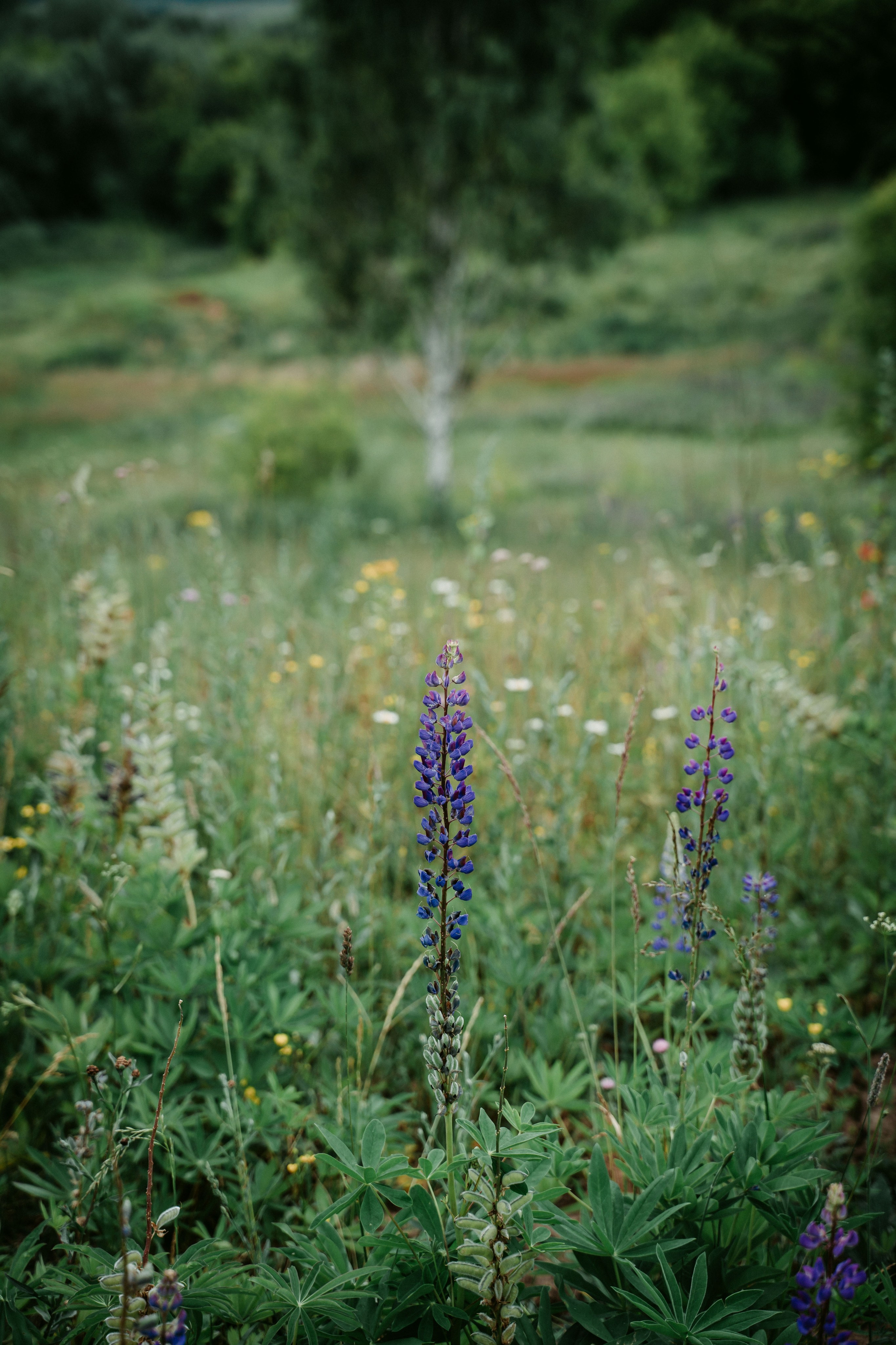 Гектария. Встреча лидеров мнений / 2023. Саша Копылов, фотограф в Казани