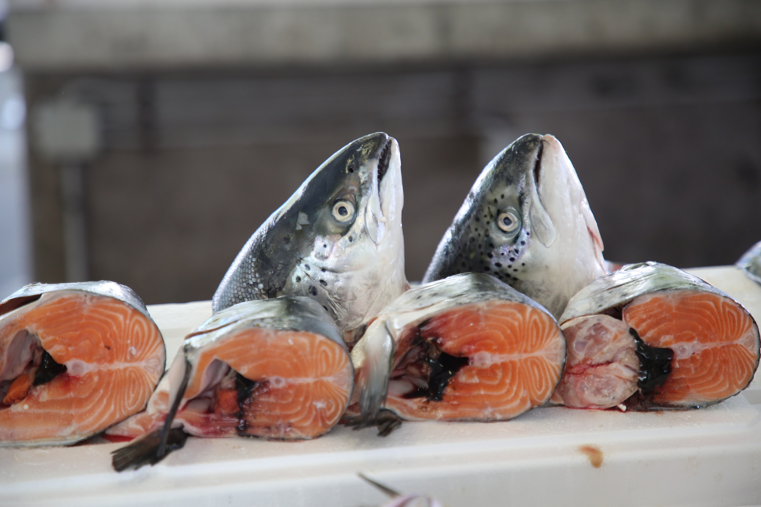 Espihnio, Portugal. Andrey Filippov Photographer