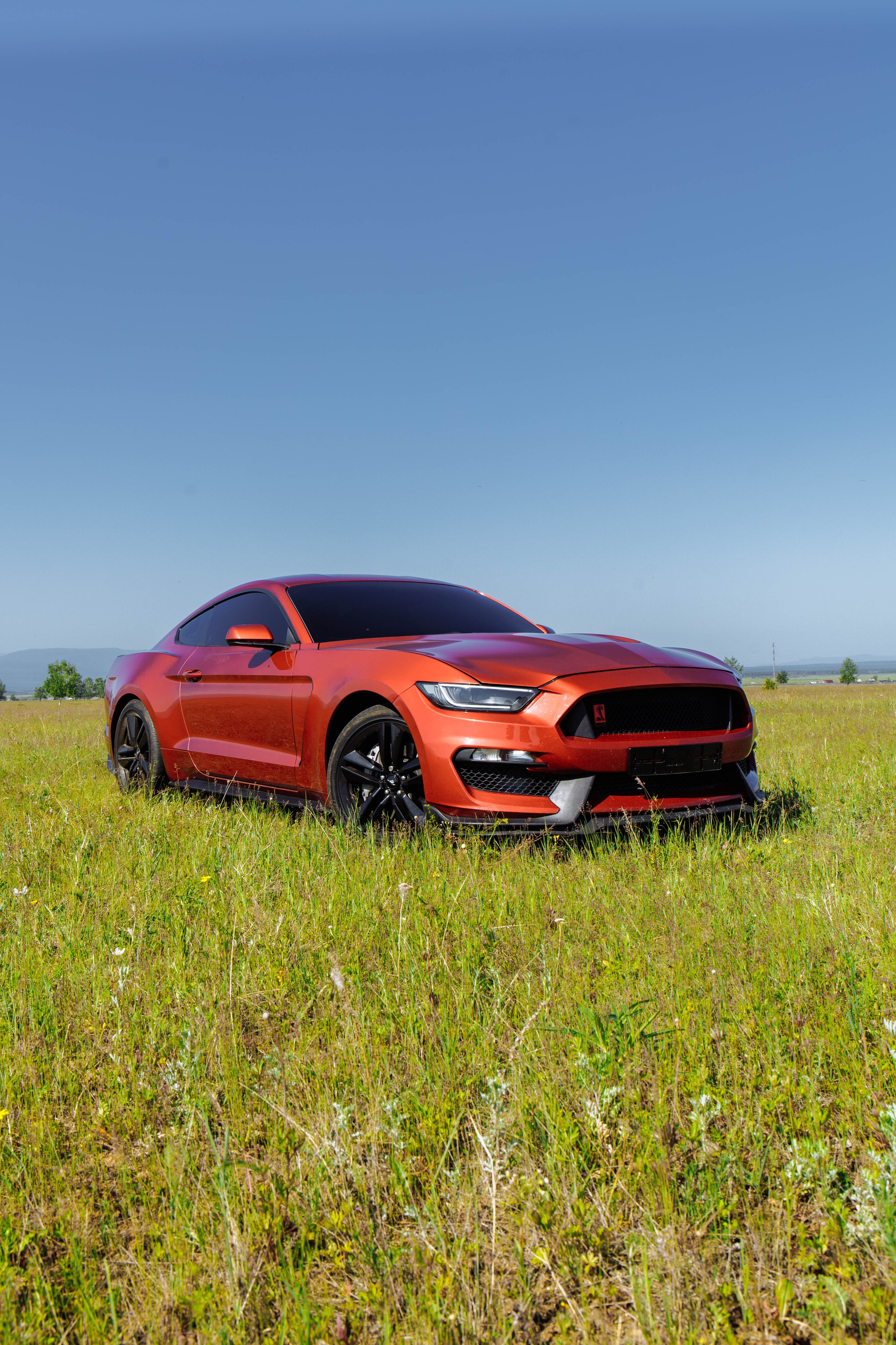 MUSTANG. Репортажный фотограф в Иркутске — Ярослав Ковалёв