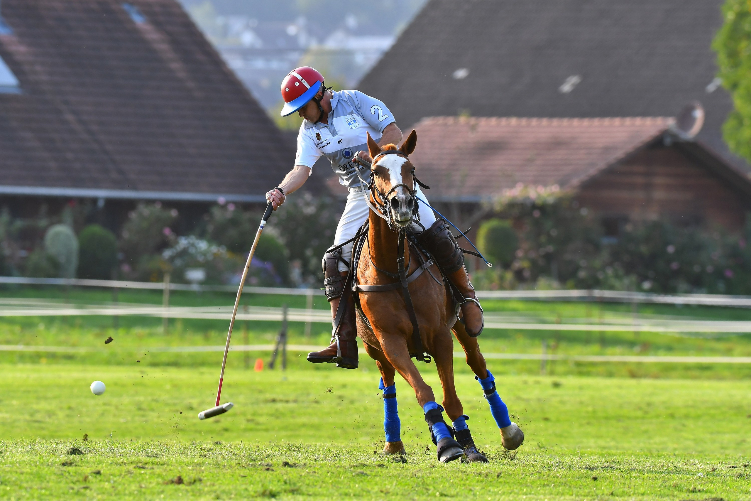 Polo art photos. Art photos of horses — ARTUR BABOEV | Photographer