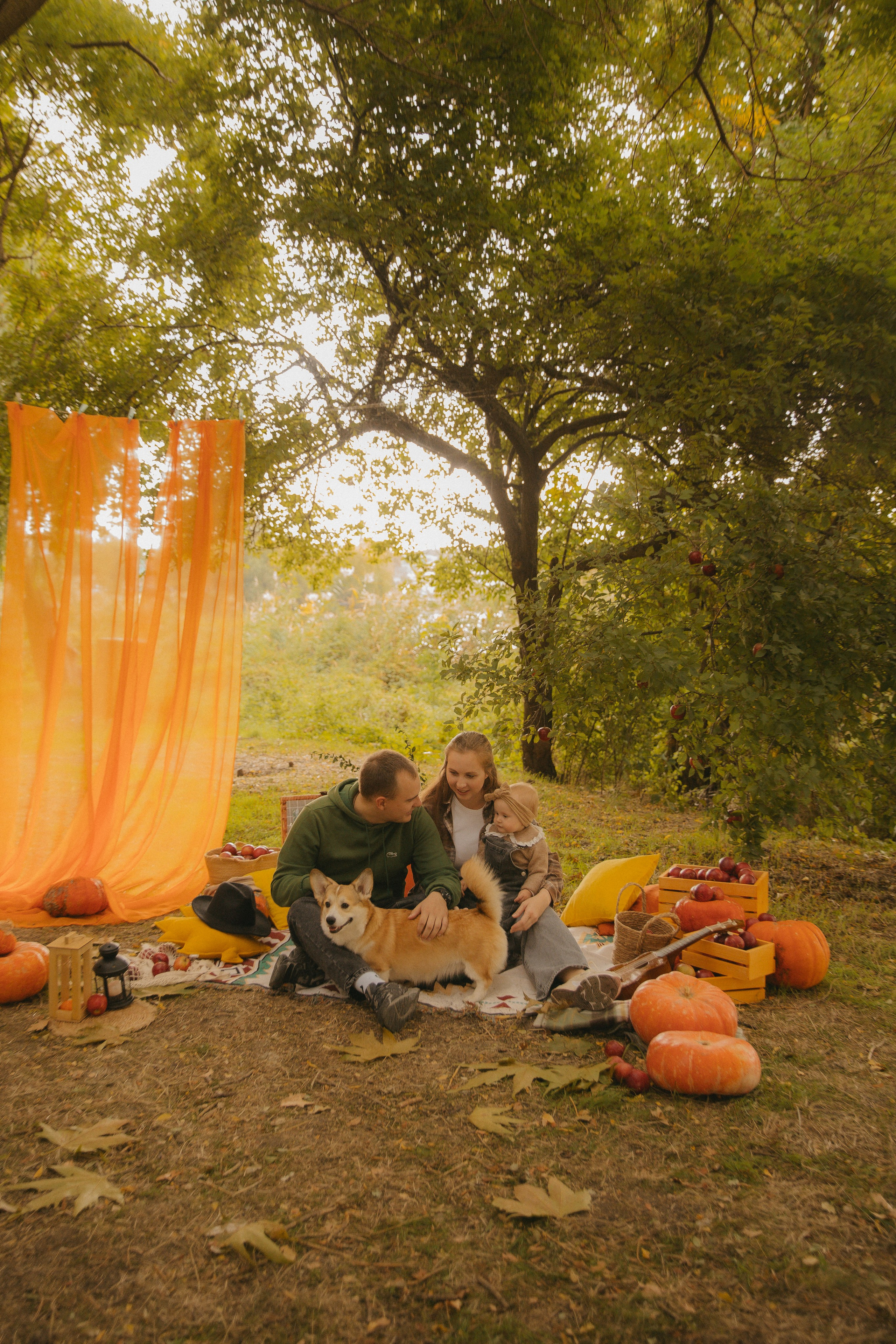 Фотопроект с корги