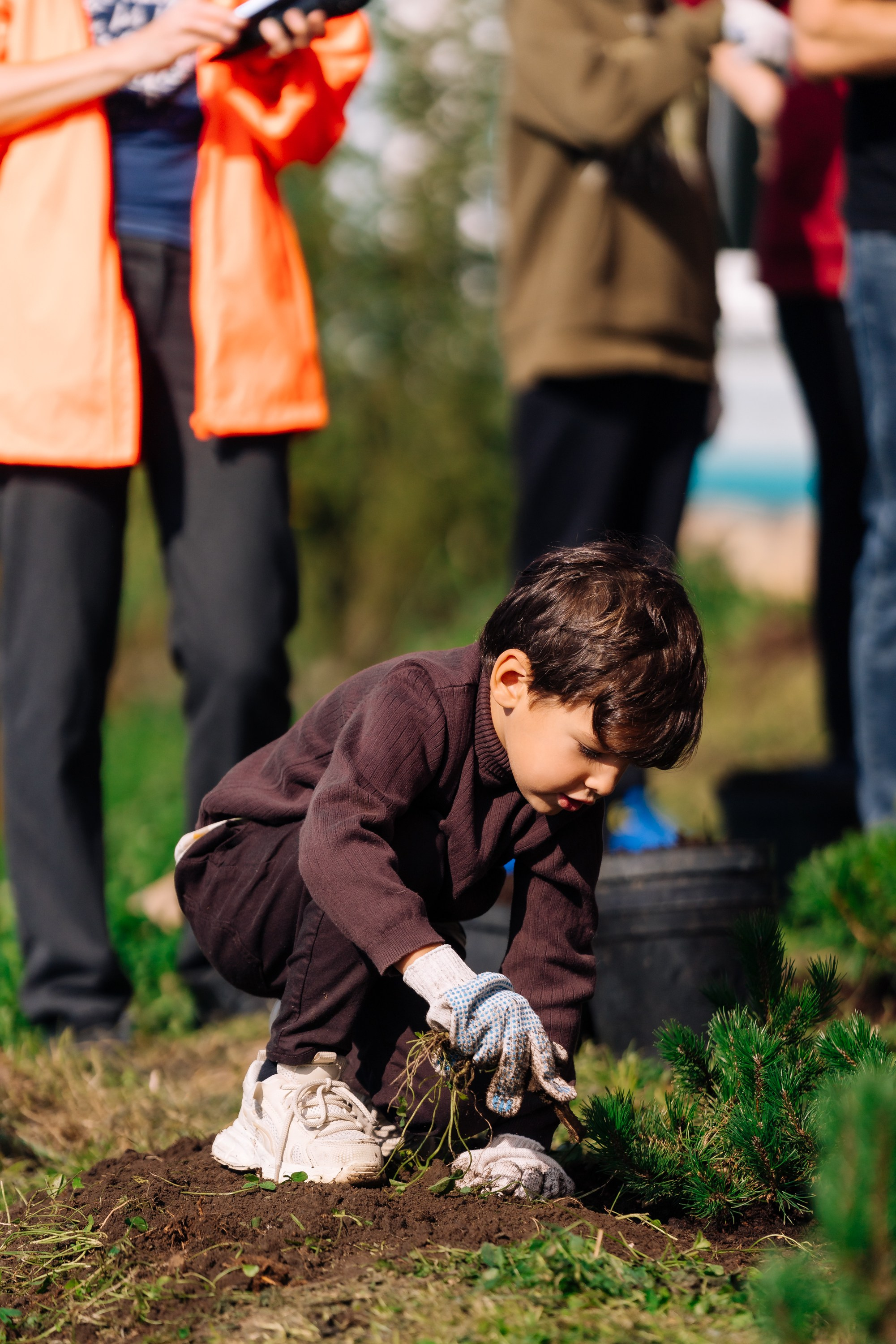 Дневные события. Geometria