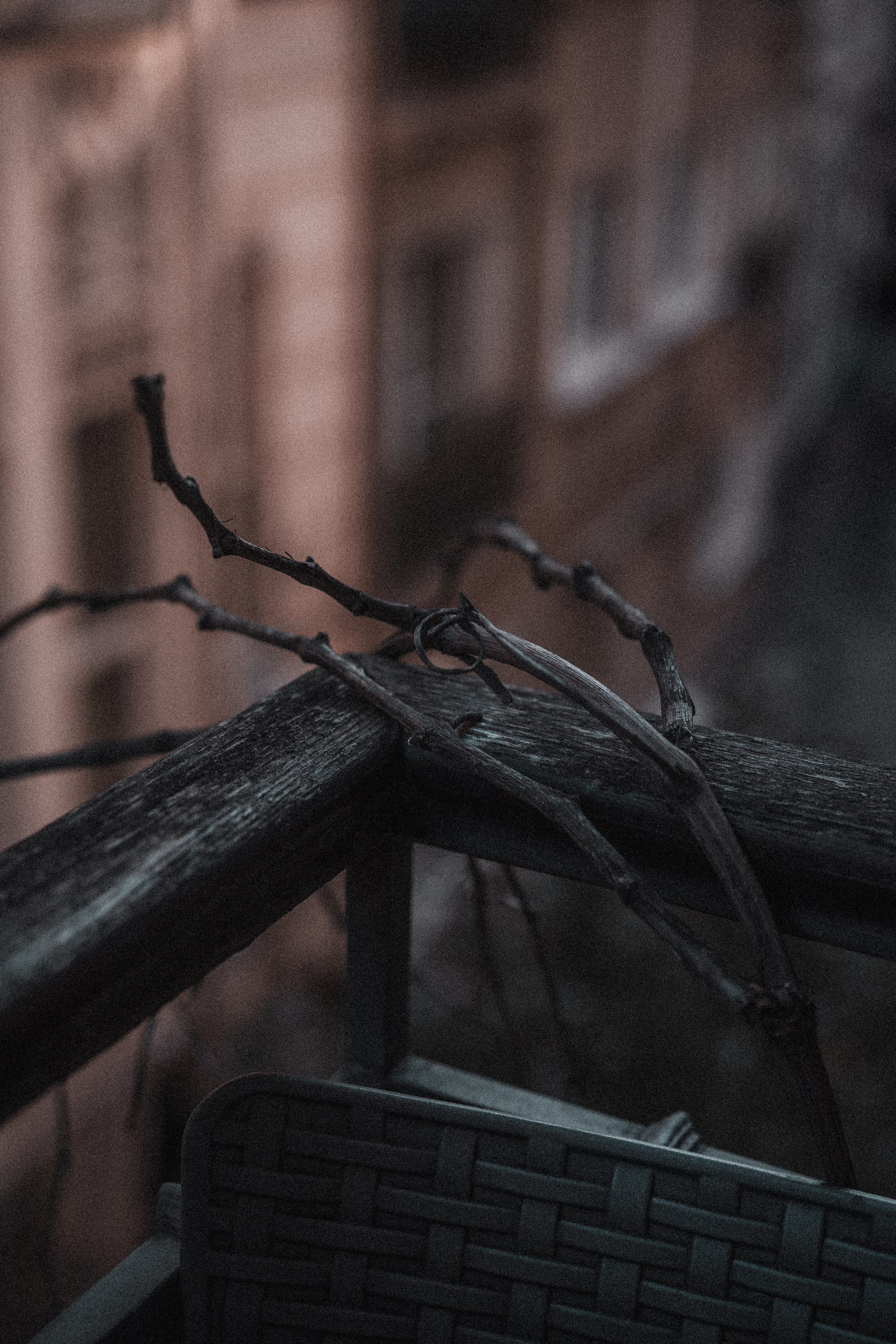 Istambul Jan 2025. MadGoose — Street photographer