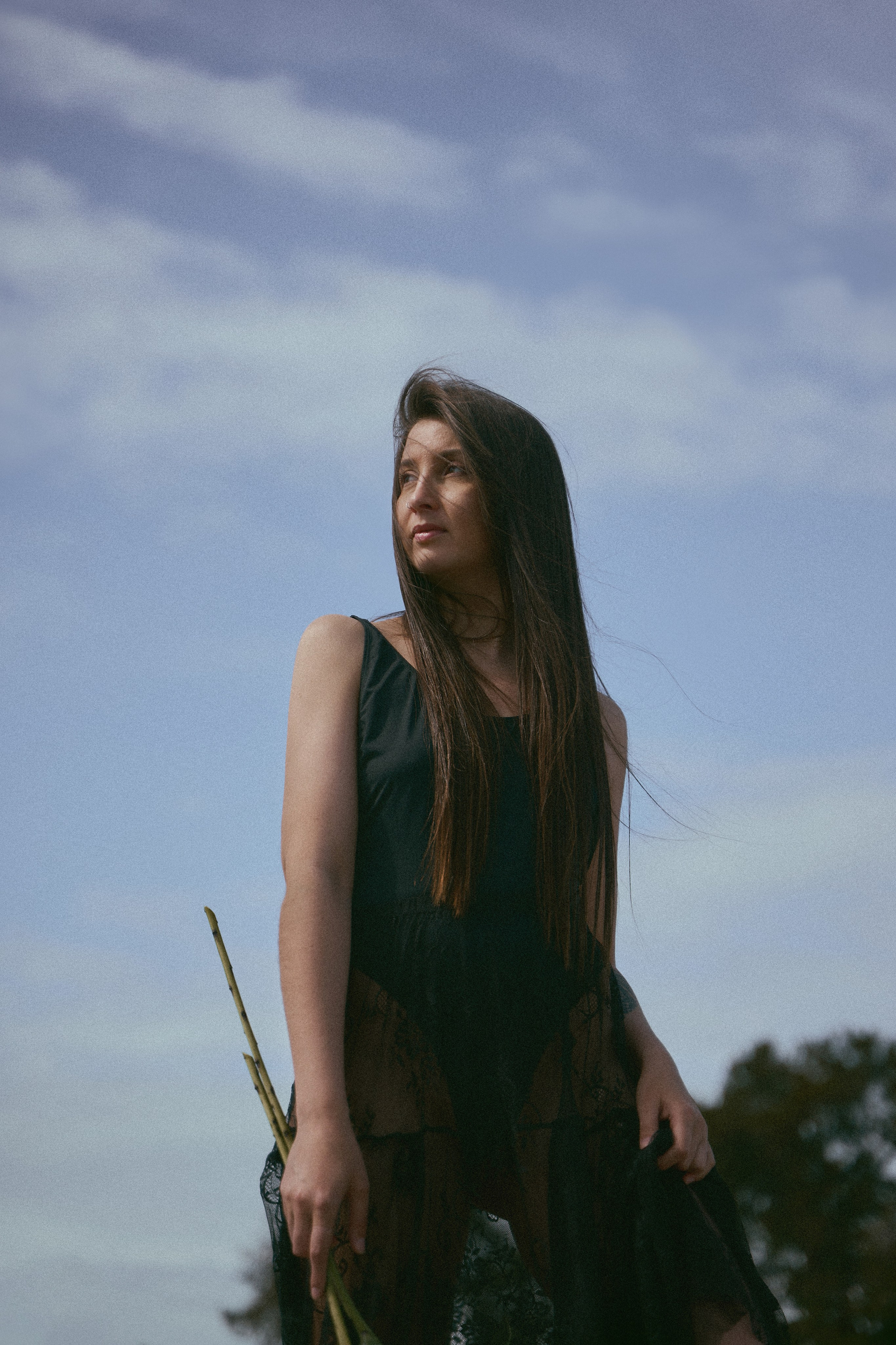 Diana. Емельянова Елена