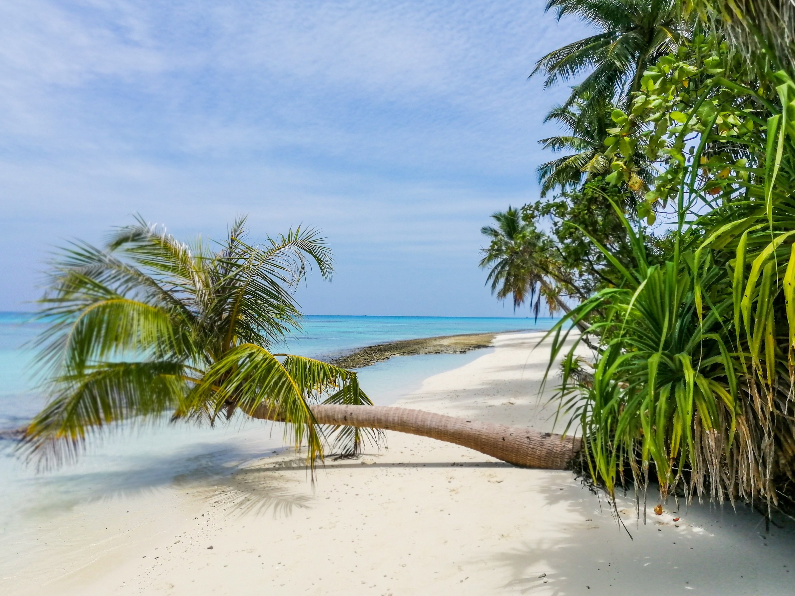Пейзажи. Фотограф Мельник Ирина. Москва
