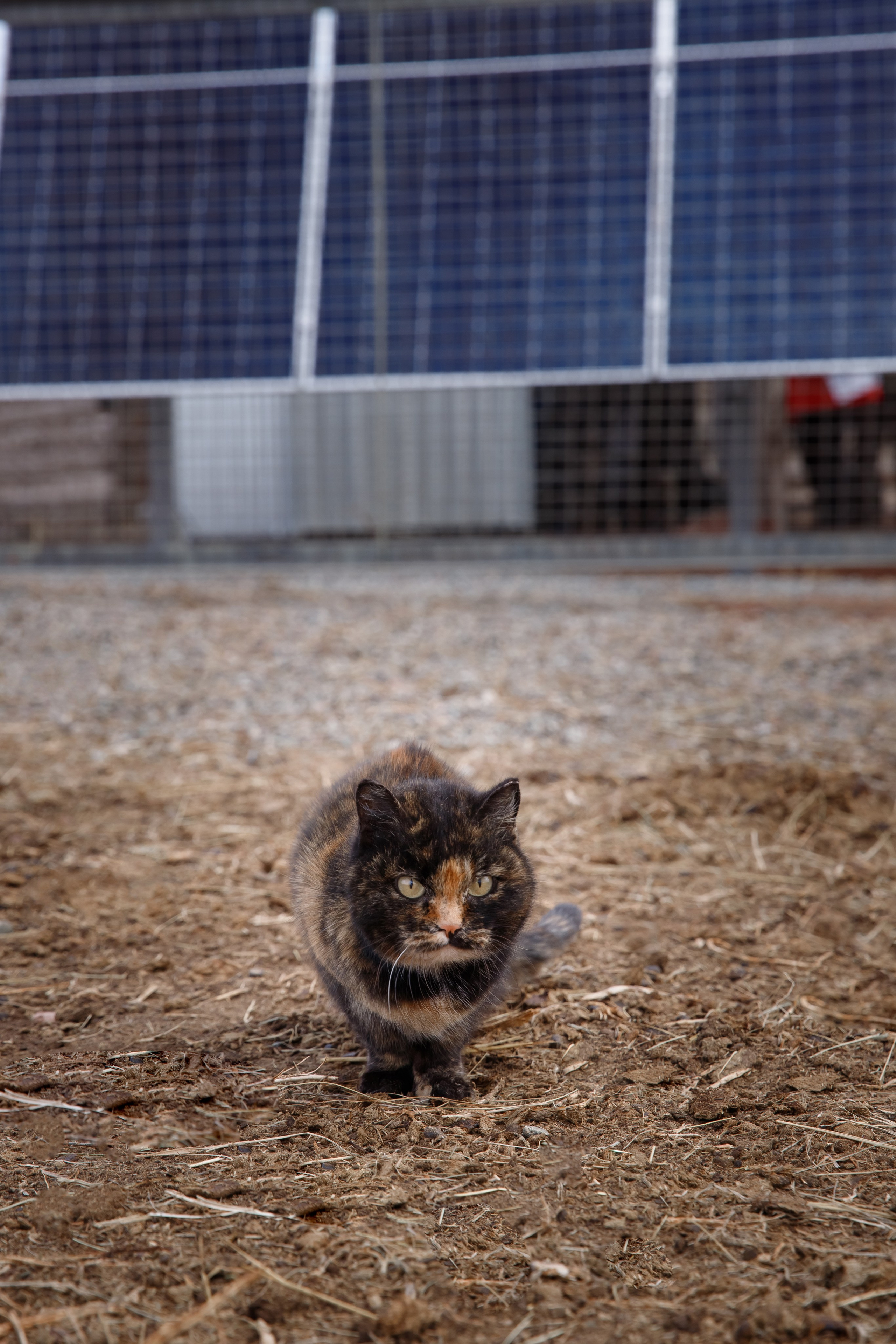 Промышленный репортаж. Коммерческий фотограф, ретушёр Анастасия Пачина