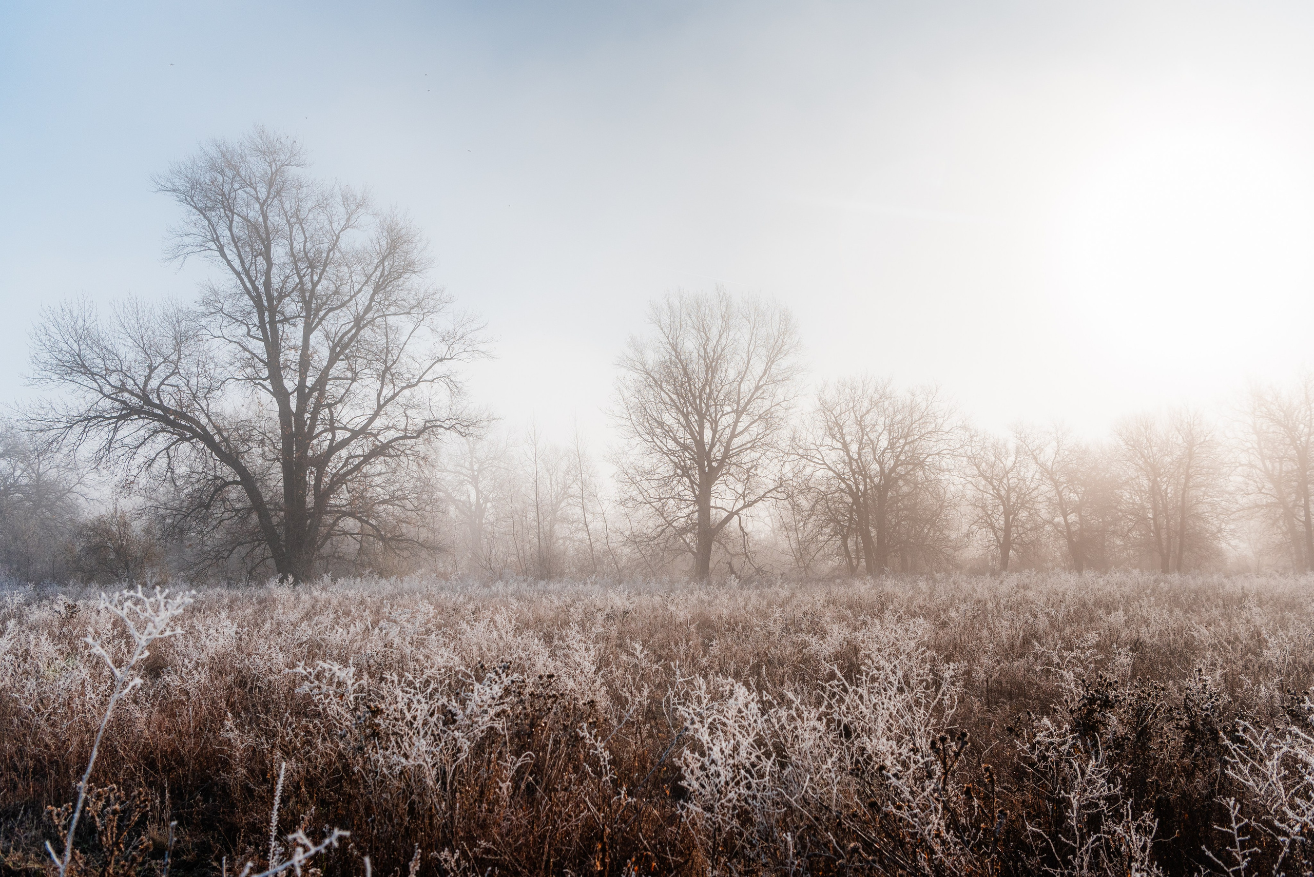 Фотографии утреннего тумана под Волжским. Фотограф в Волгограде и Волжском Александр Горбань