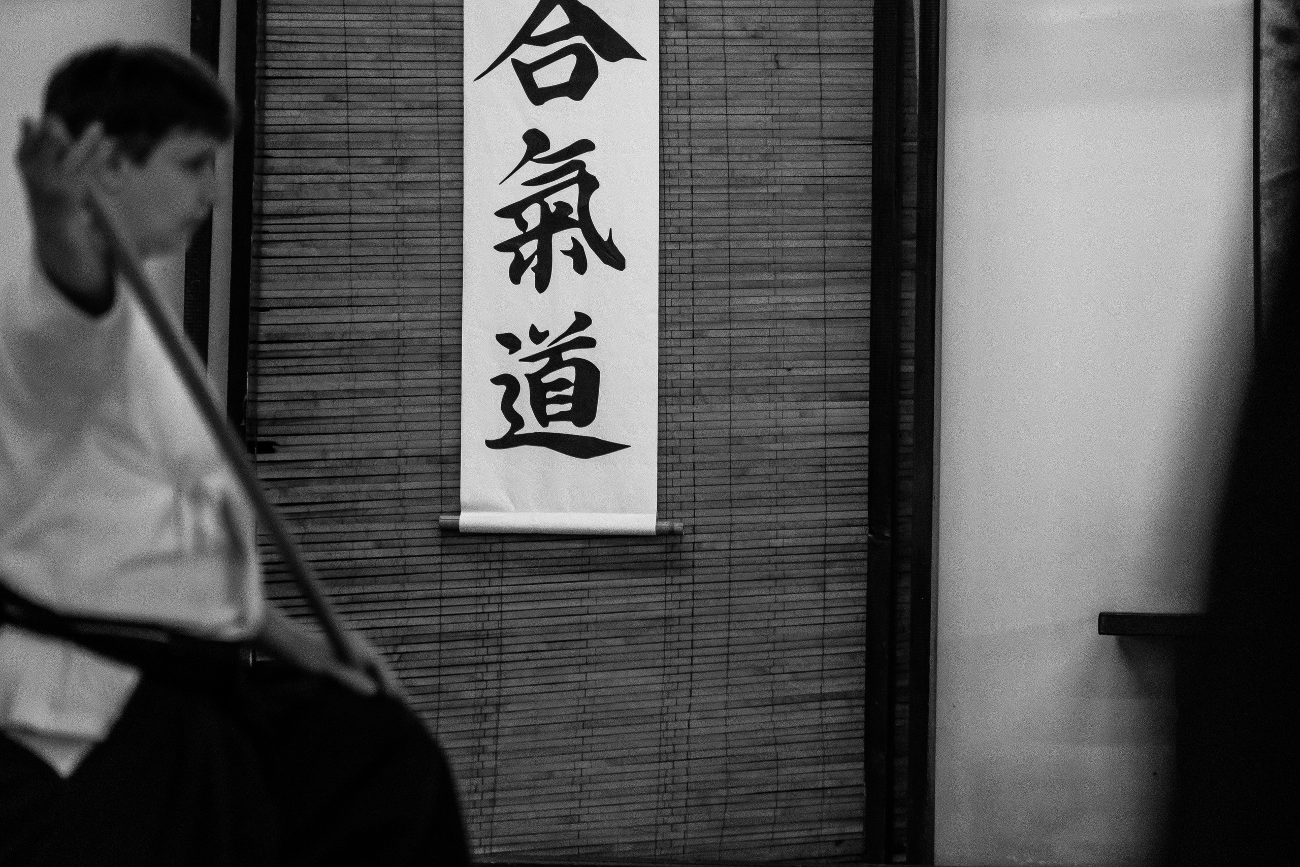 Синкай додзё. Контент, Портрет, Репортаж в Санкт-Петербурге. Логунов Александр