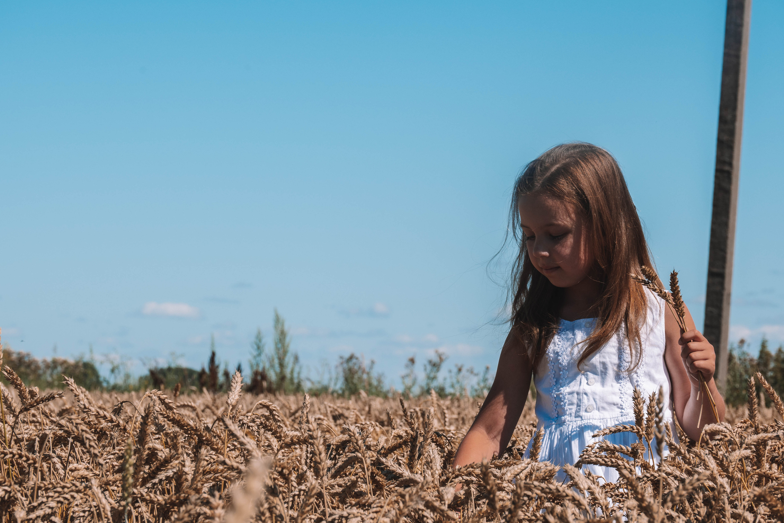 СанСан. Контент, Портрет, Репортаж в Санкт-Петербурге. Логунов Александр