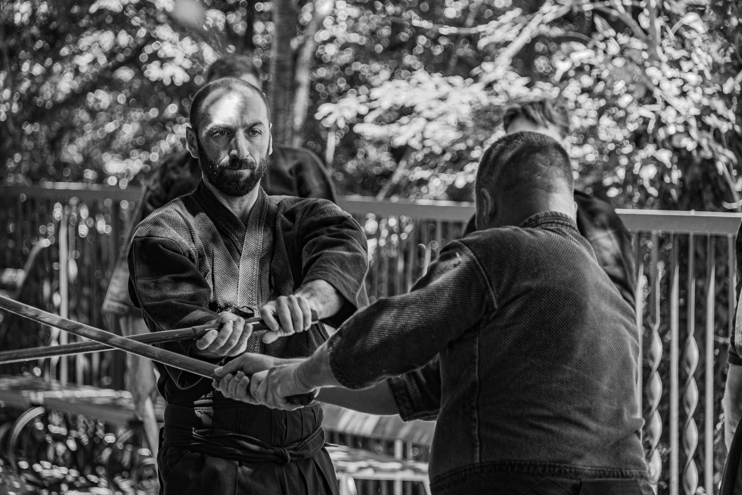 Синкай додзё. Контент, Портрет, Репортаж в Санкт-Петербурге. Логунов Александр