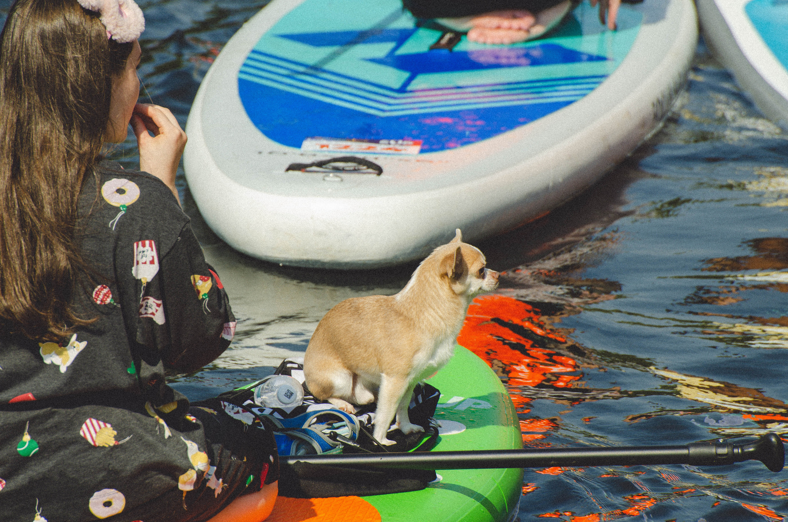 Фонтанка SUP 220806. Контент, Портрет, Репортаж в Санкт-Петербурге. Логунов Александр