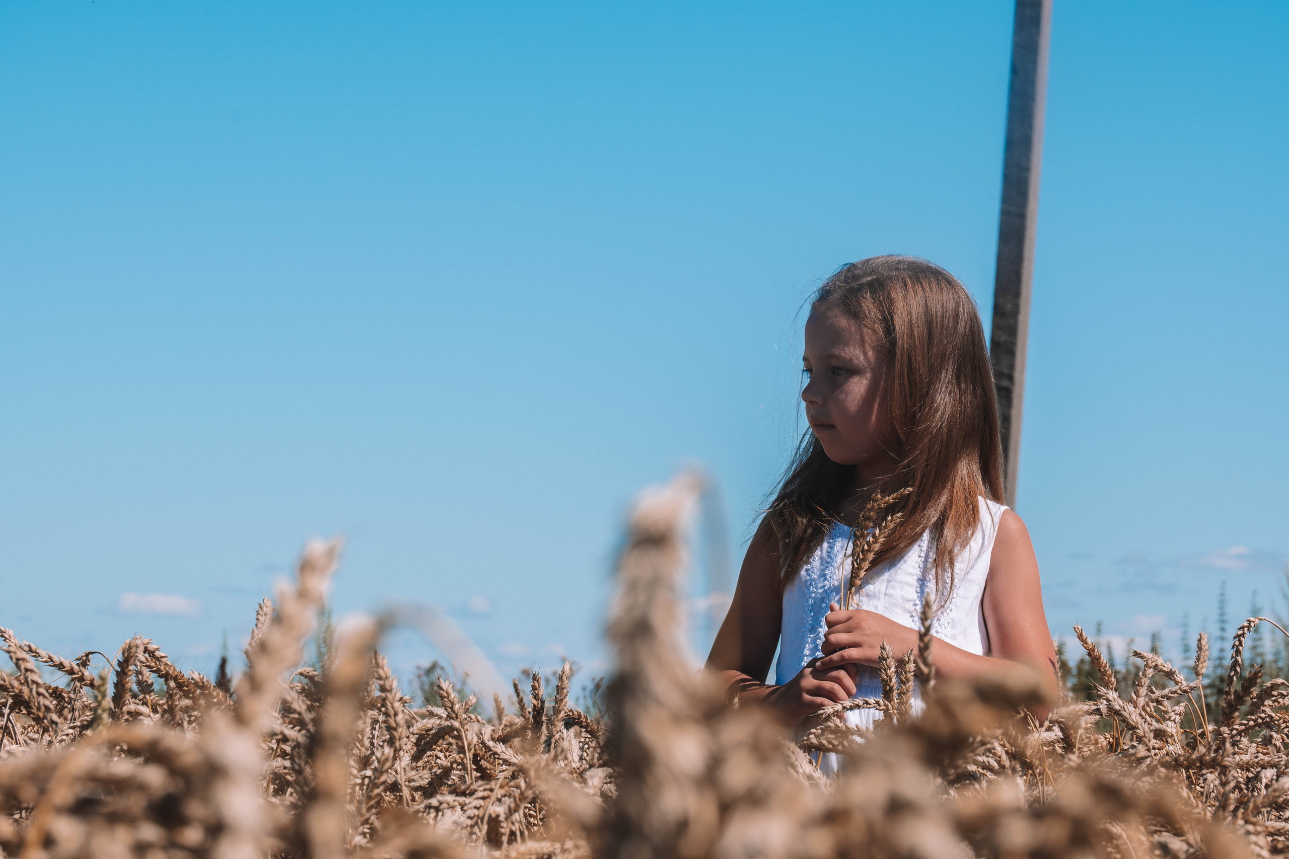 СанСан. Контент, Портрет, Репортаж в Санкт-Петербурге. Логунов Александр