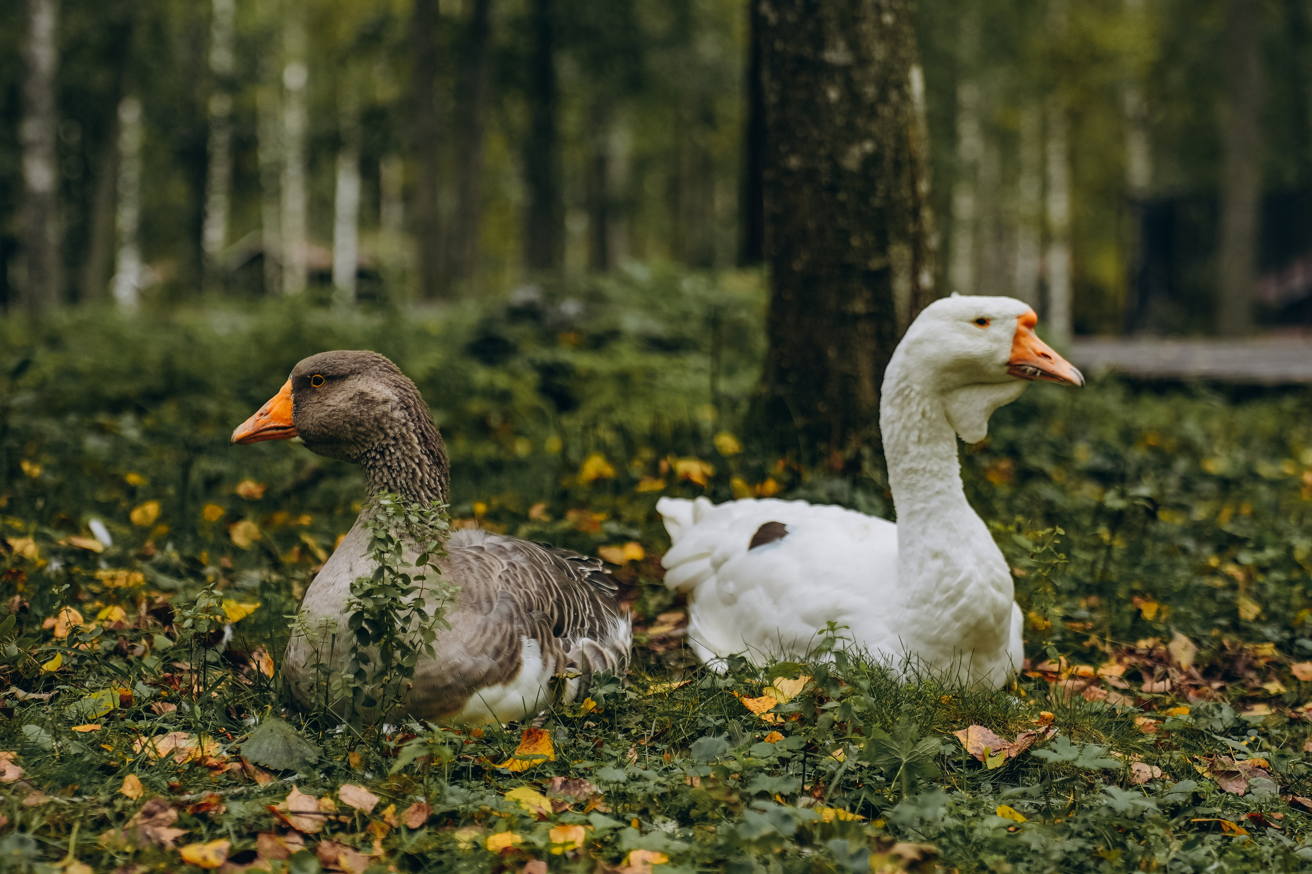 СЕВЕР. Event фотограф Степанова Александра