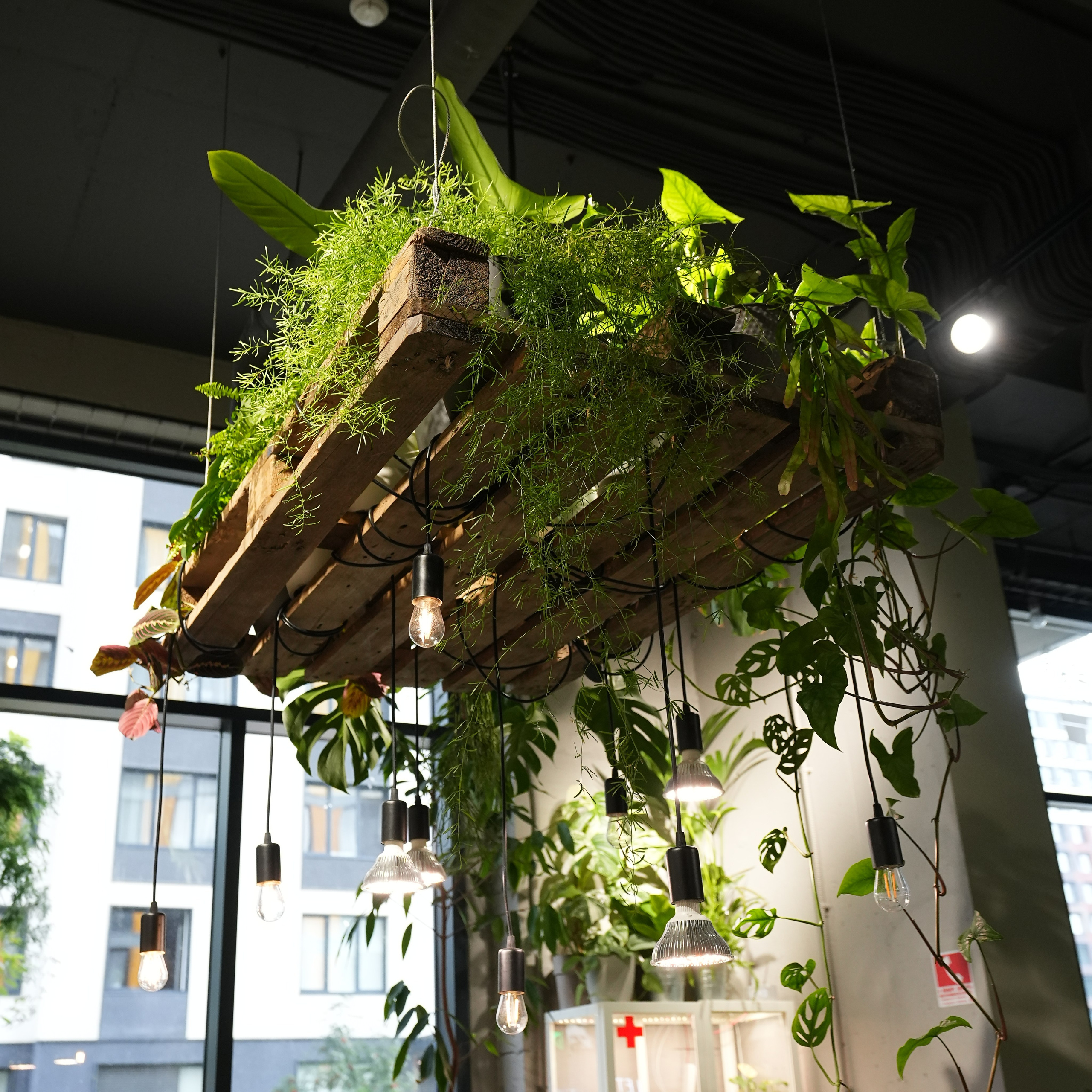 Интерьерная фотосъемка флористического магазина