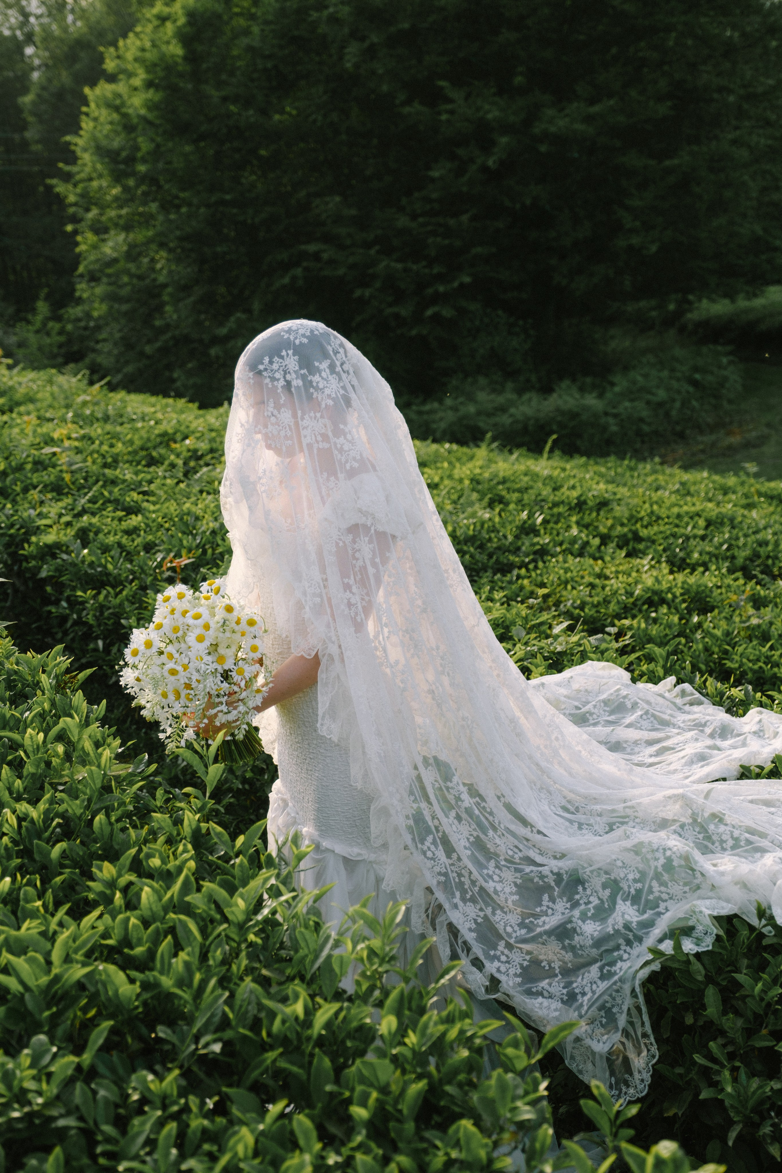 Маленькая Италия. Свадебный Видеограф Фотограф в Сочи