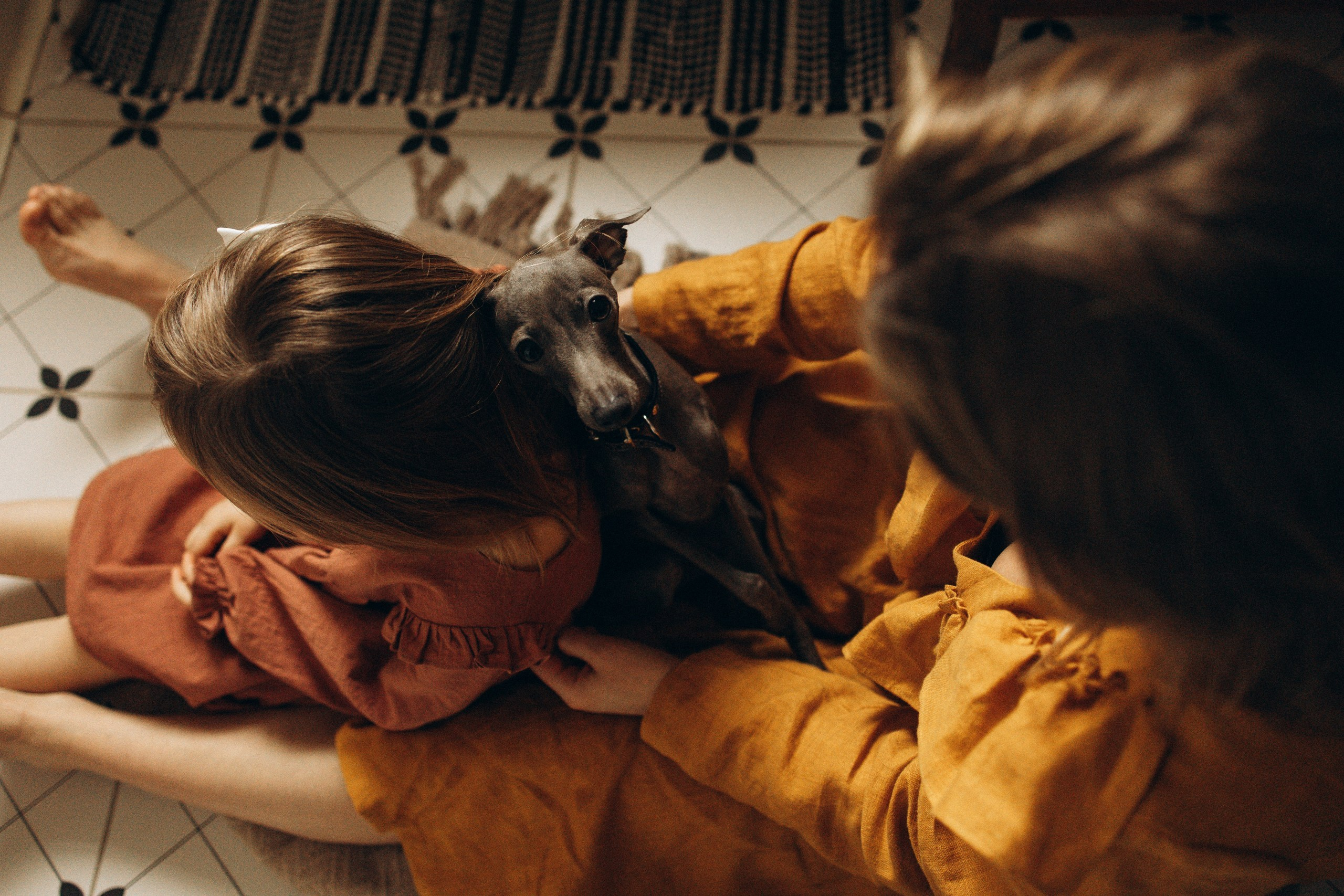 Юлия, Марк, Алиса и собачка Пикси. Семейный фотограф в Москве Ксения Аганина