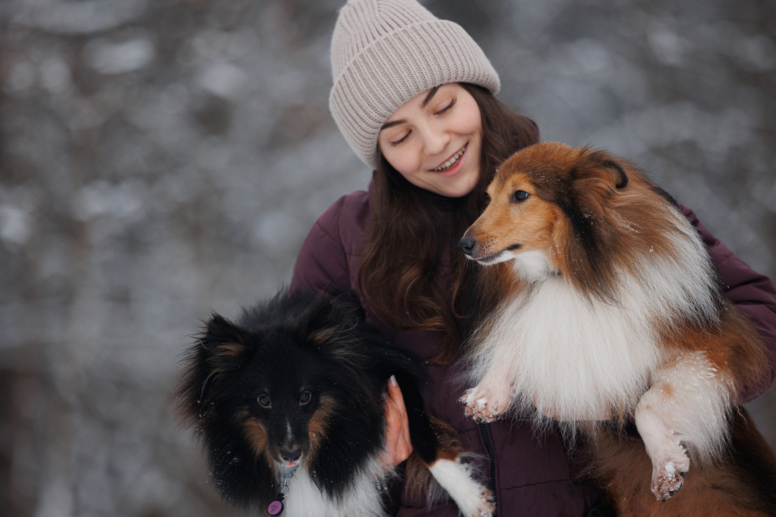 Даша и компания. Фотограф анималист Кристина Карпова, Москва