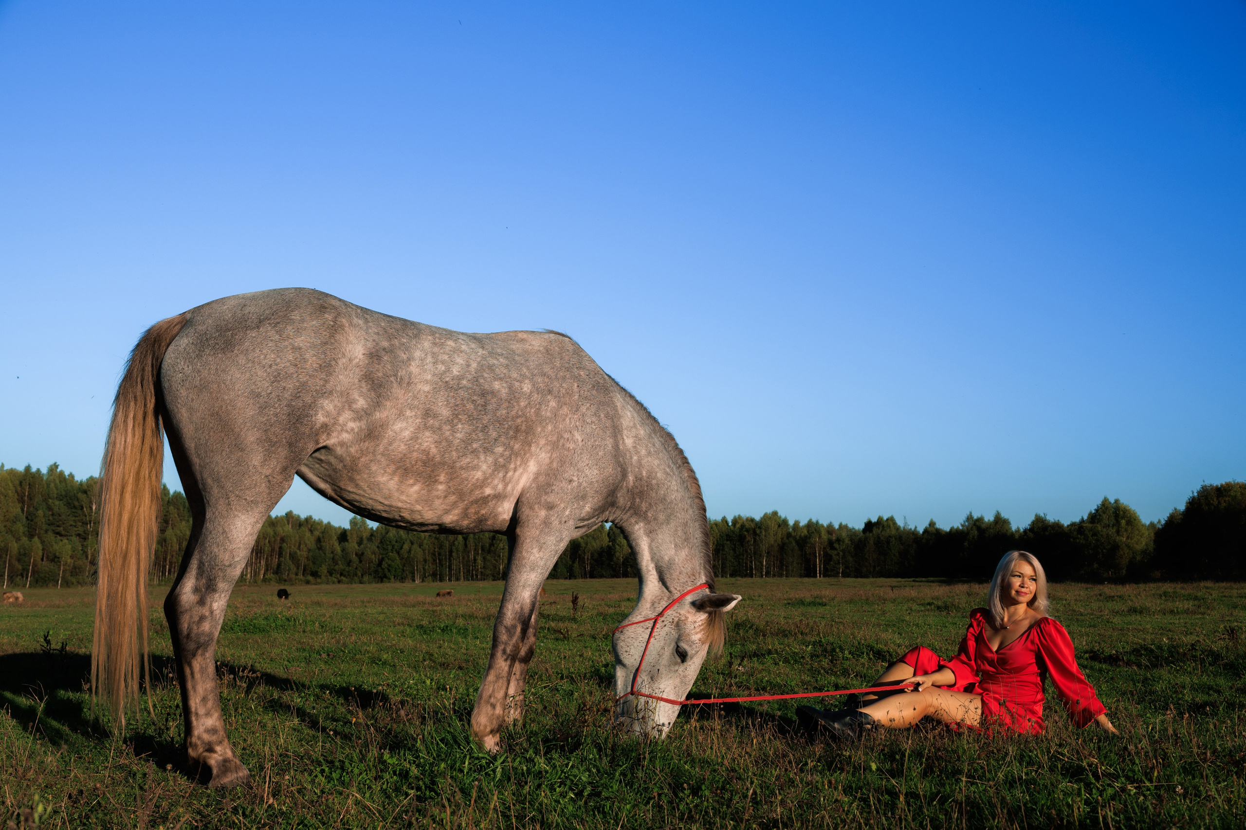 Фотограф в Кашине Калязине Кесовой Горе. Евгений Копайсов | официальный сайт