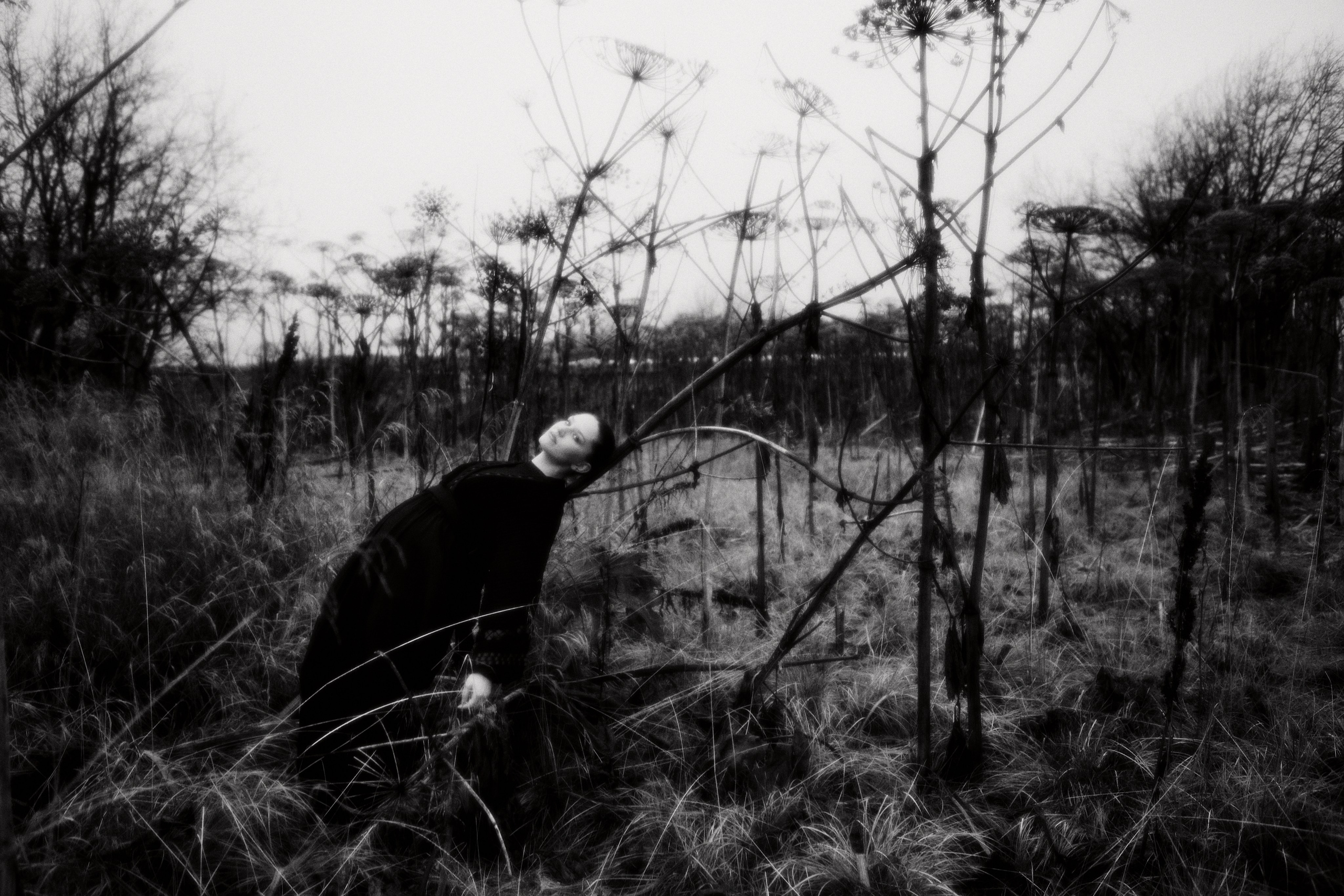 Hogweed. Fashion Photographer Oxana Chernomorets