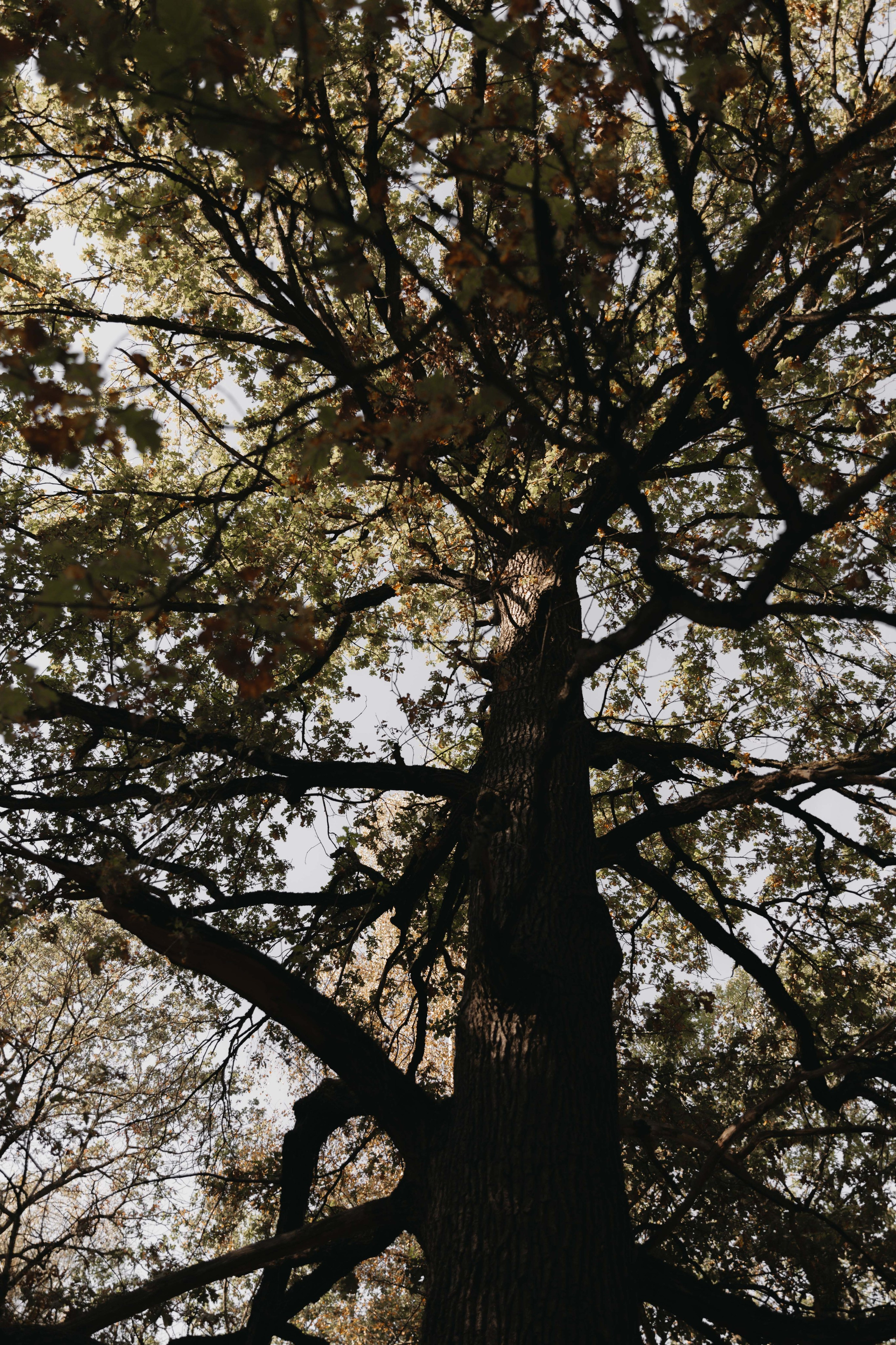 Ю & В. Женский и свадебный фотограф Москва Елизавета Перова