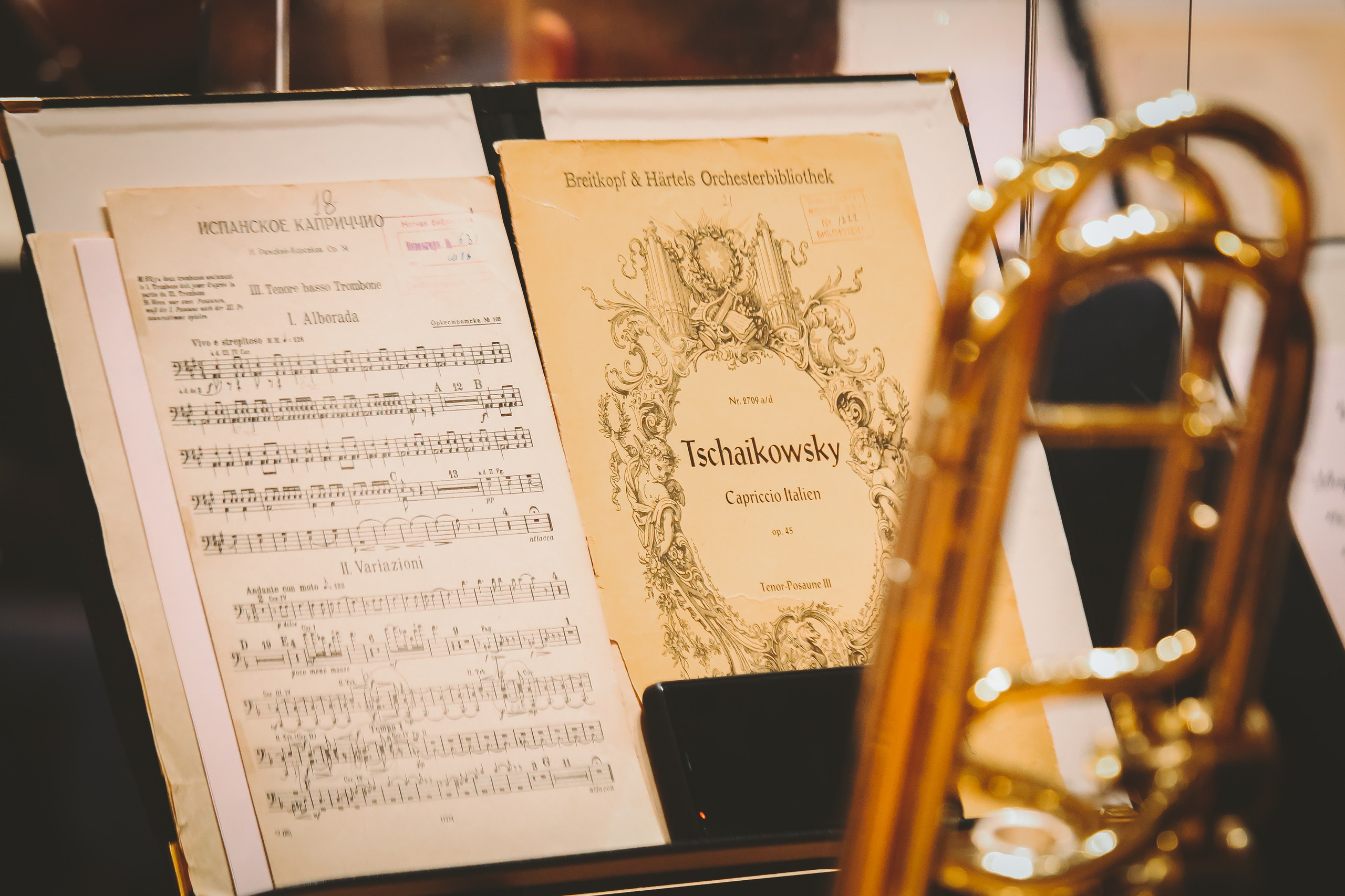 «Жемчужины программной музыки» с МГАСО в Зале Чайковского. Дарья Письменюк / Darya Leitstern — фотограф, музыкант, журналист, путешественник