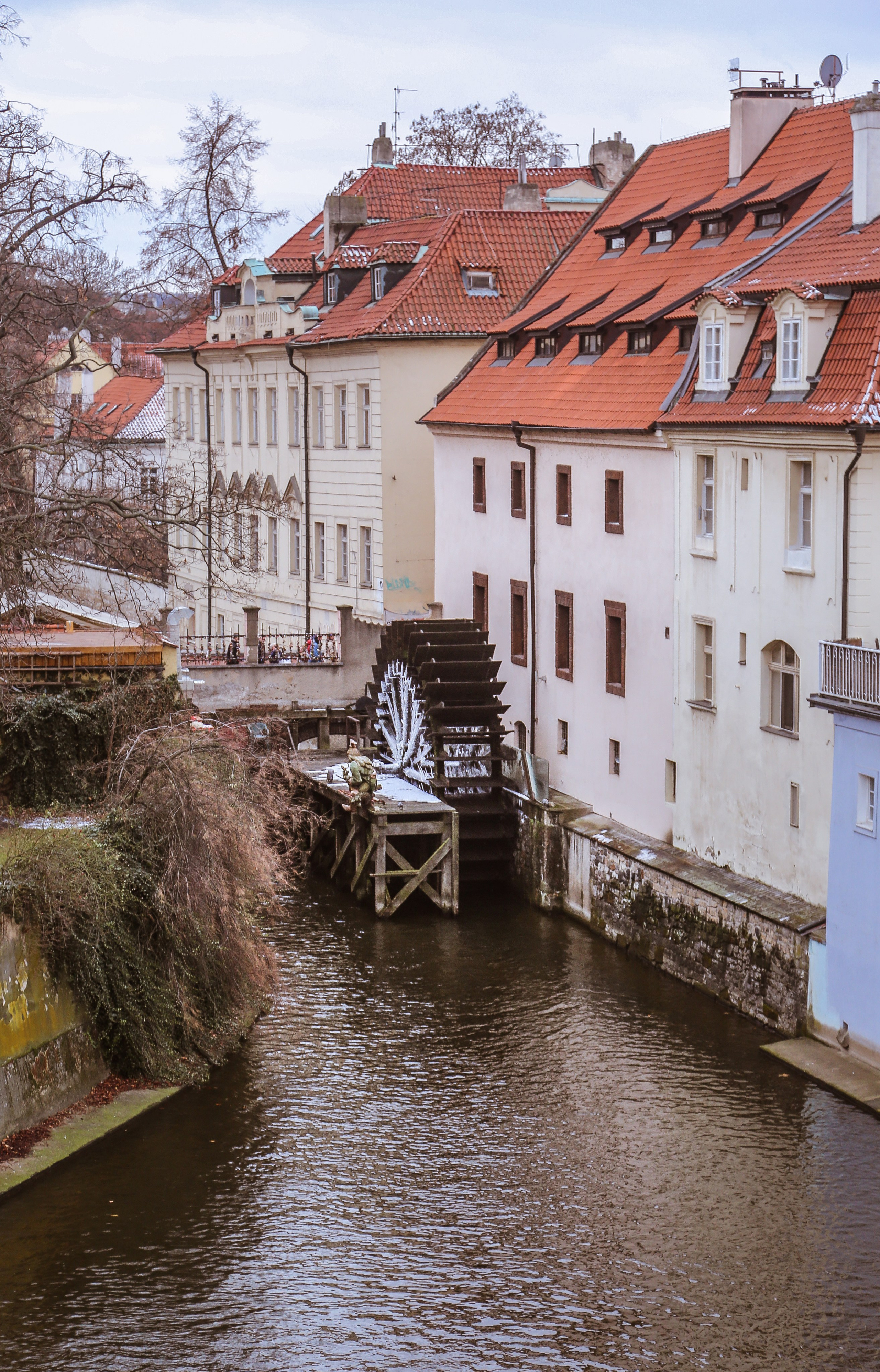 Чехия: Прага. Дарья Письменюк / Darya Leitstern — фотограф, музыкант, журналист, путешественник
