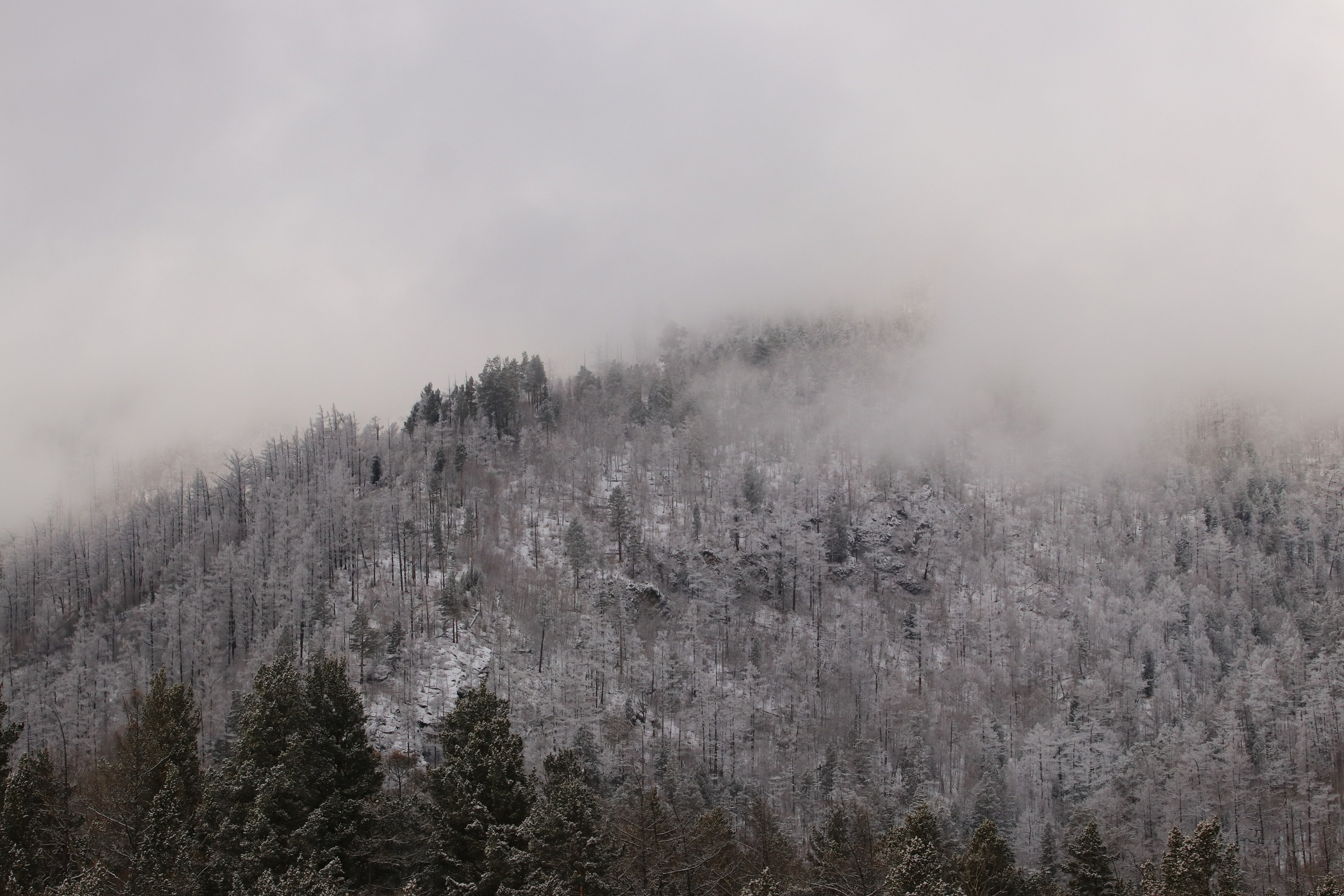 Аршан. Март 2023. Путешественник-фотограф из Санкт-Петербурга Татьяна Свистулина