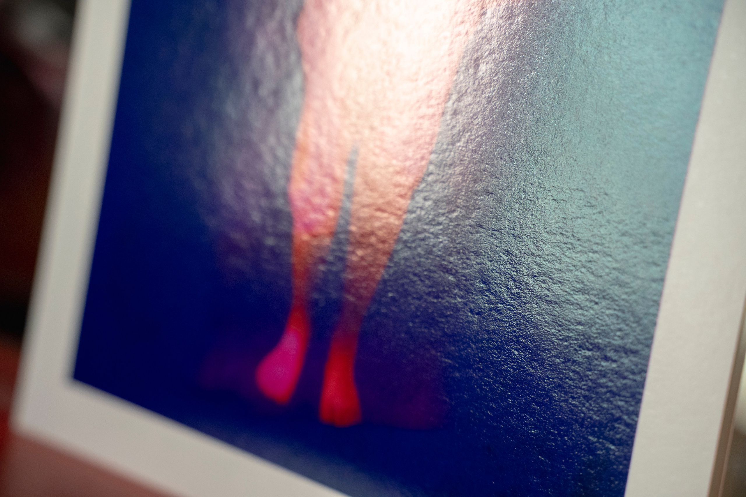 FRAGILE. Family Lifestyle Photographer in Lucca, Italia