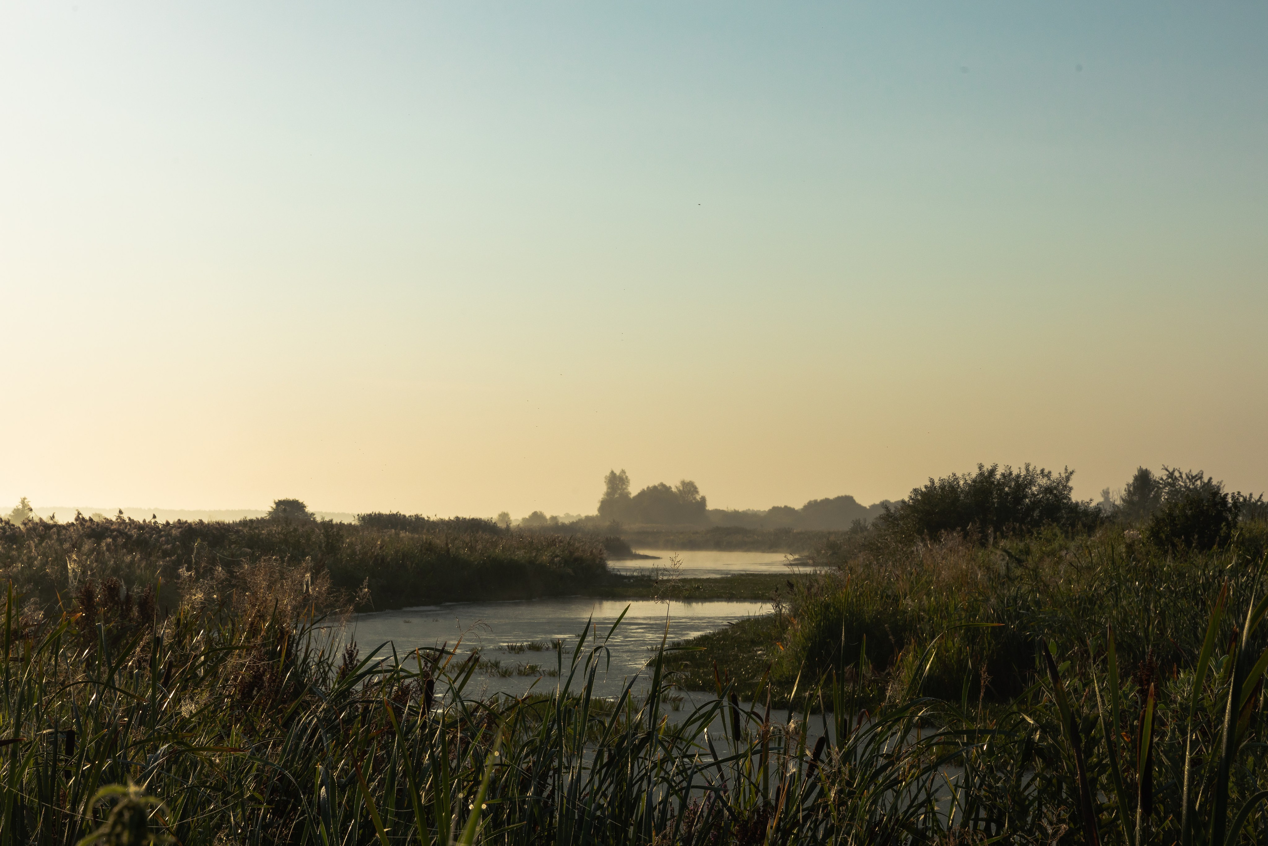 Гвардейск. Август 2022. Фотографии