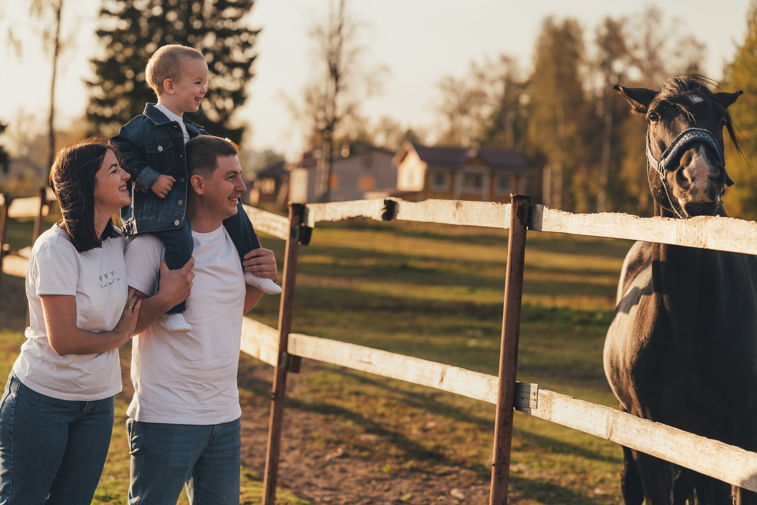 Фотографии семьи в золотых солнечных лучах, все наблюдают за лошадью