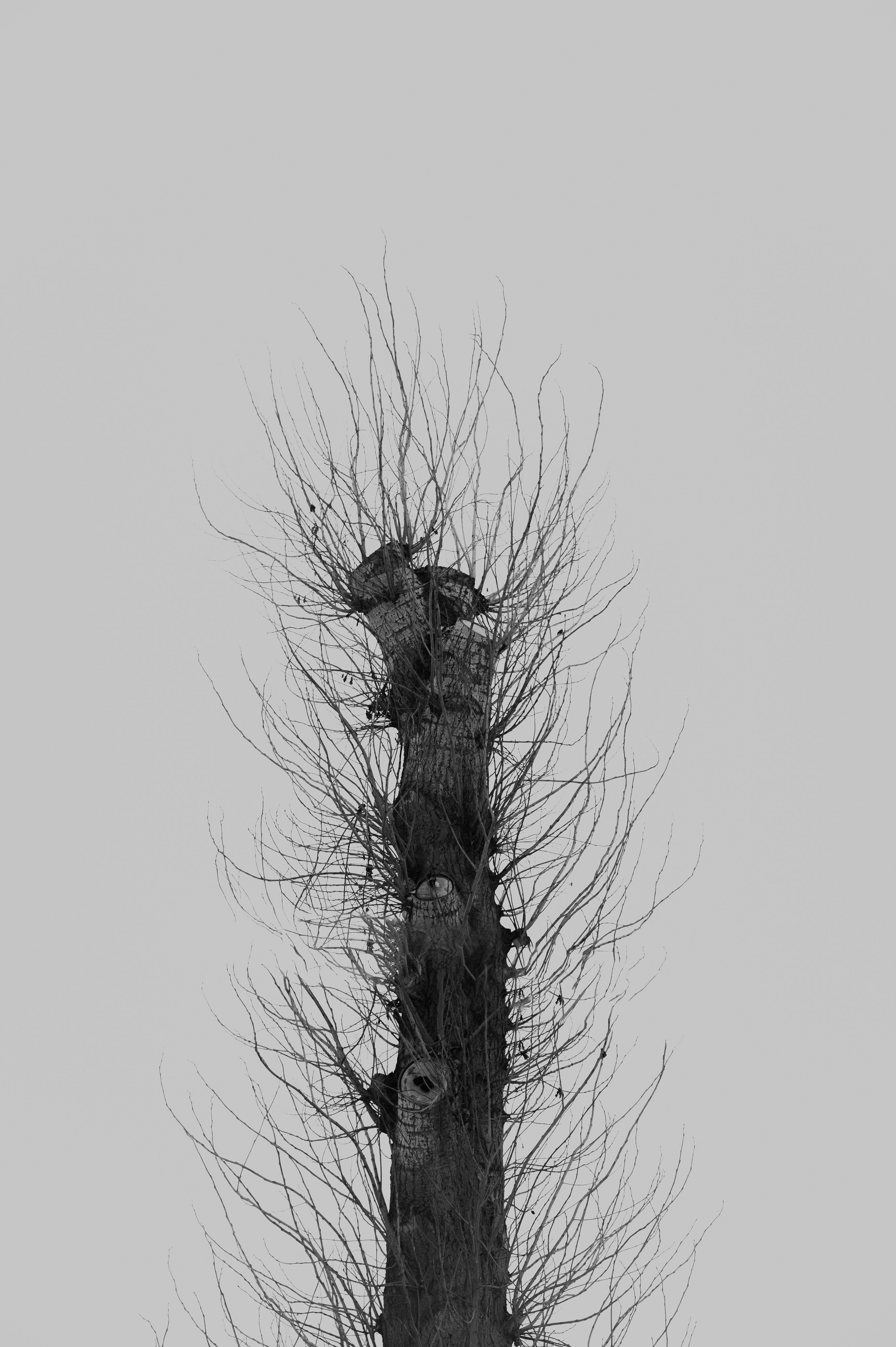 Фотограф/видеограф Богдан Голованов