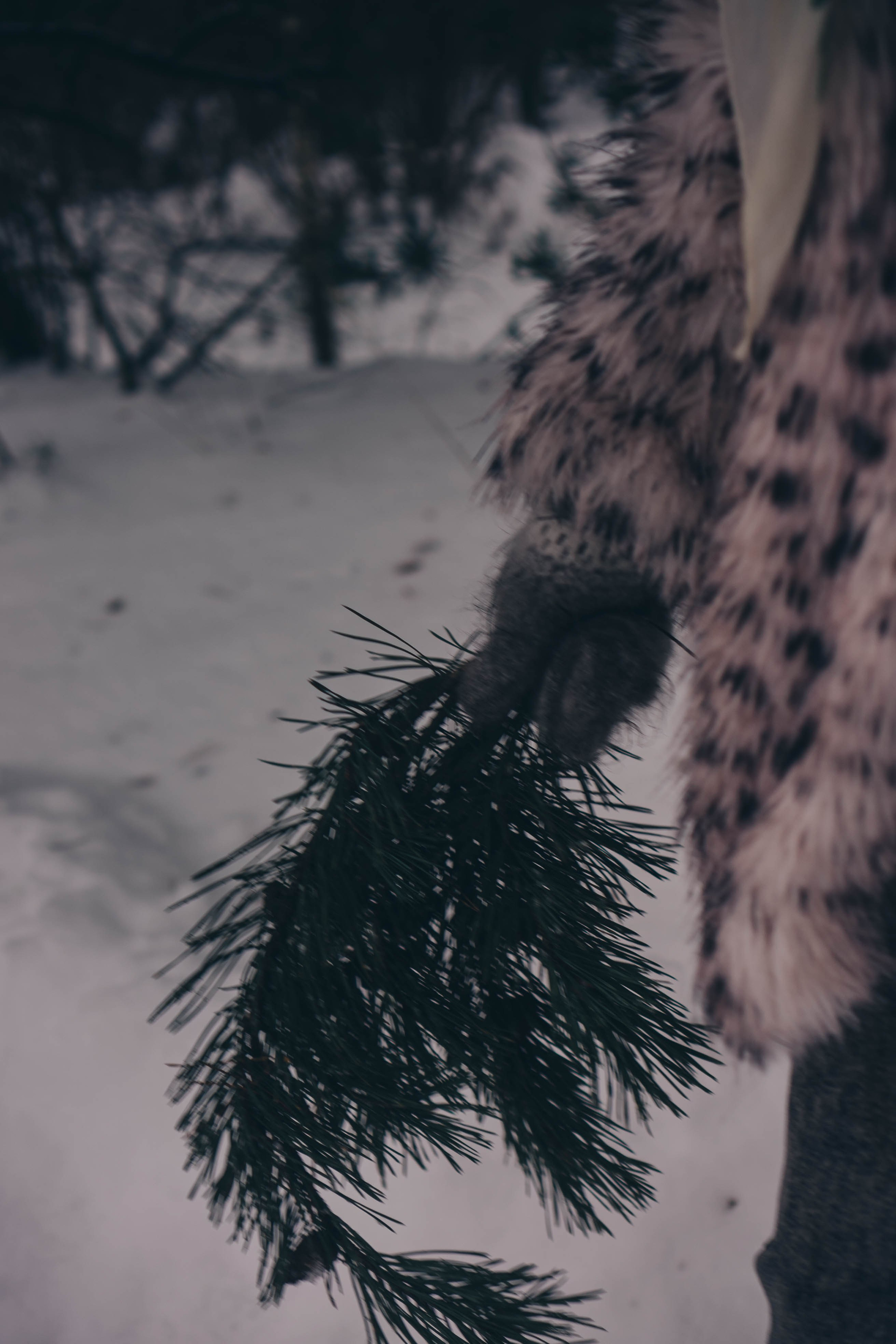 Деревня. Профессиональный фотограф, Санкт-Петербург — Виктория Богомолова
