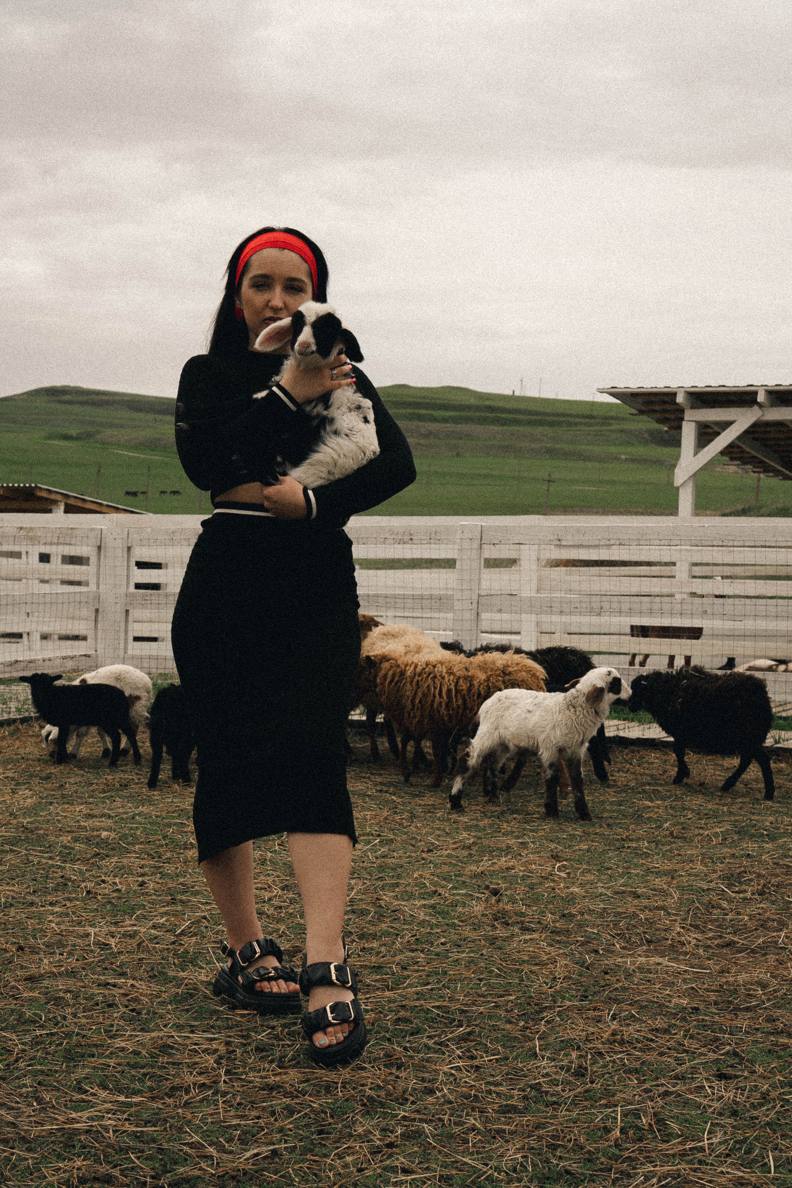 Ферма Альпак. Профессиональный фотограф, Санкт-Петербург — Виктория Богомолова