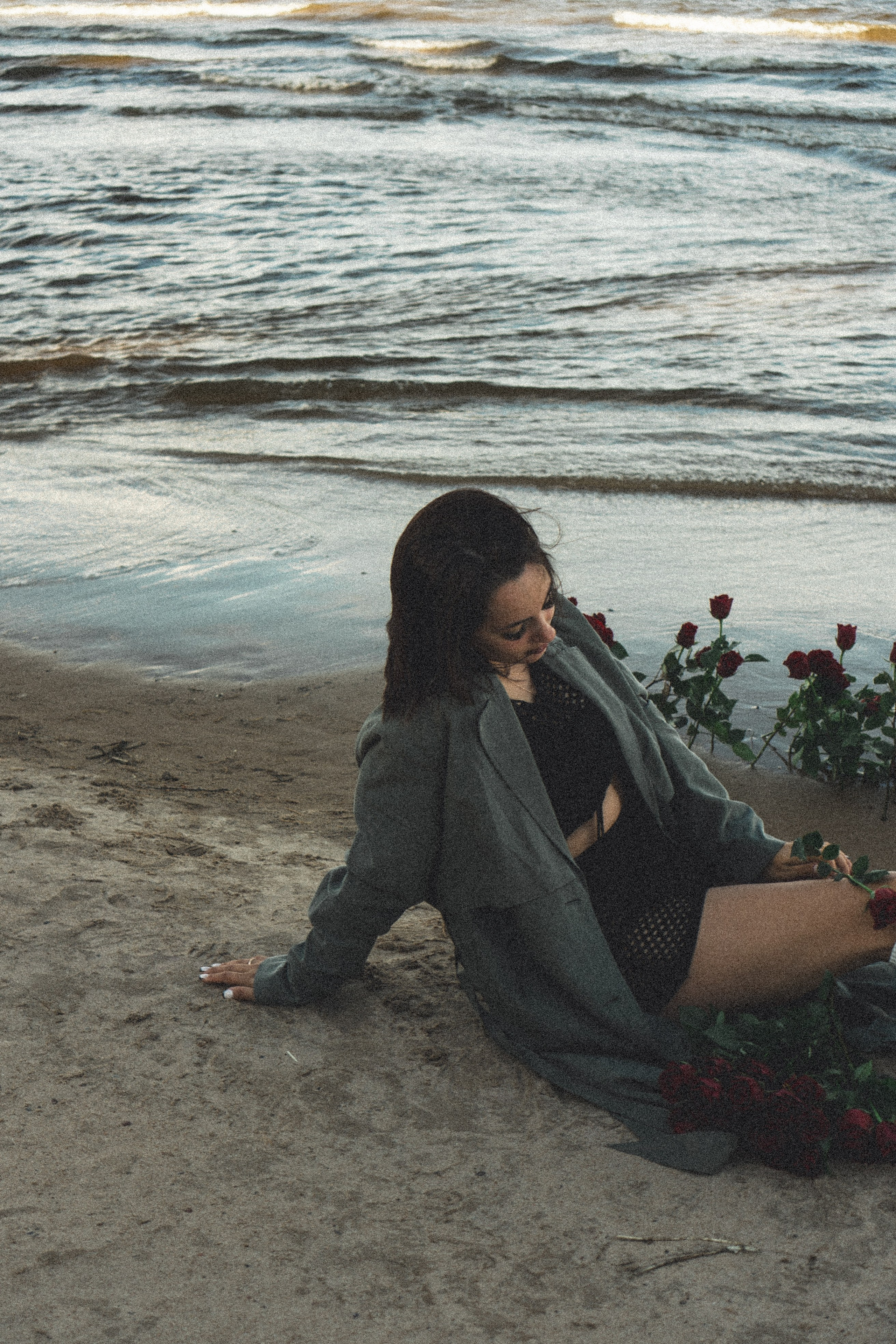 Розы. Профессиональный фотограф, Санкт-Петербург — Виктория Богомолова