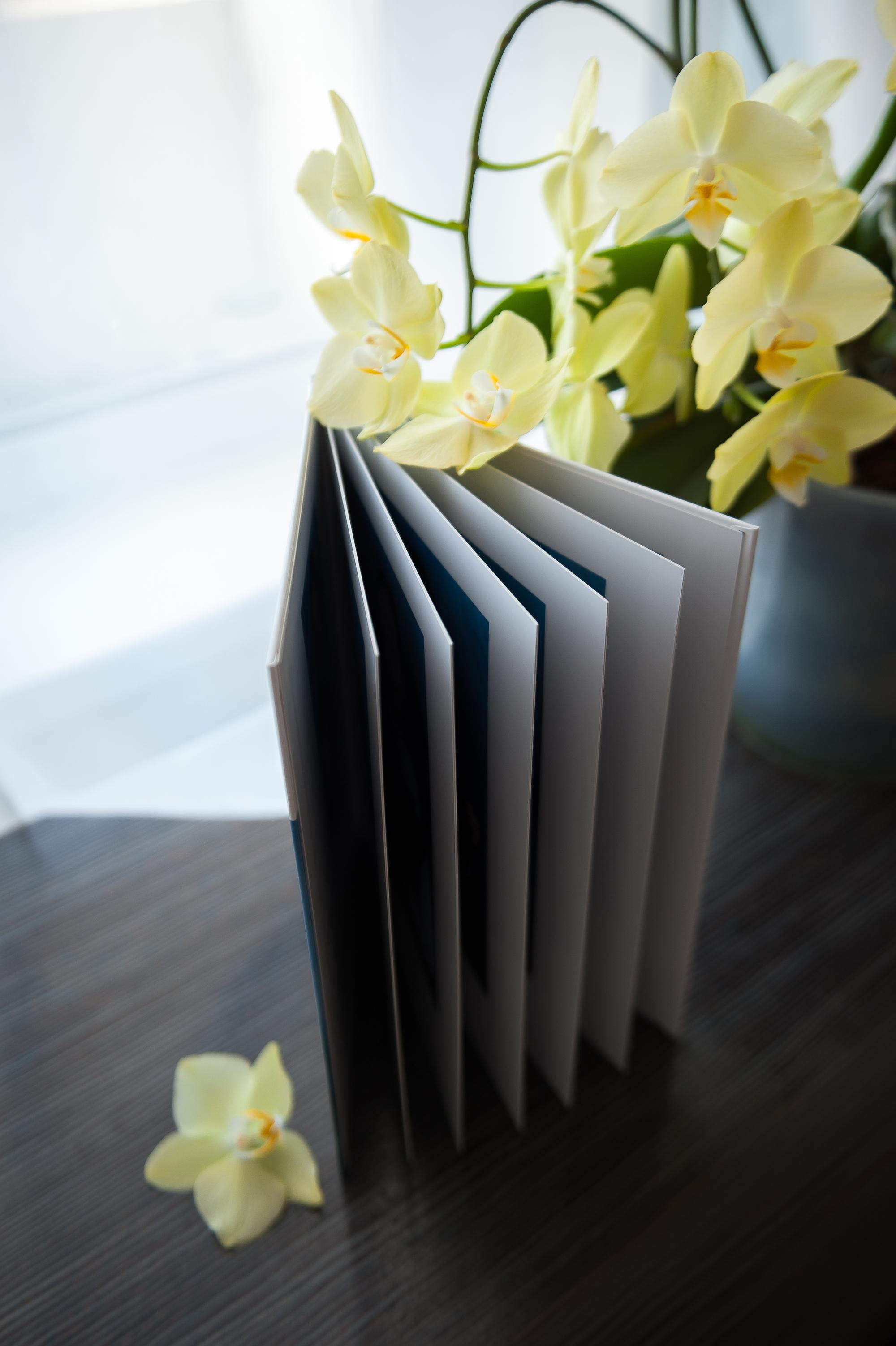 Учителю/Воспитателю