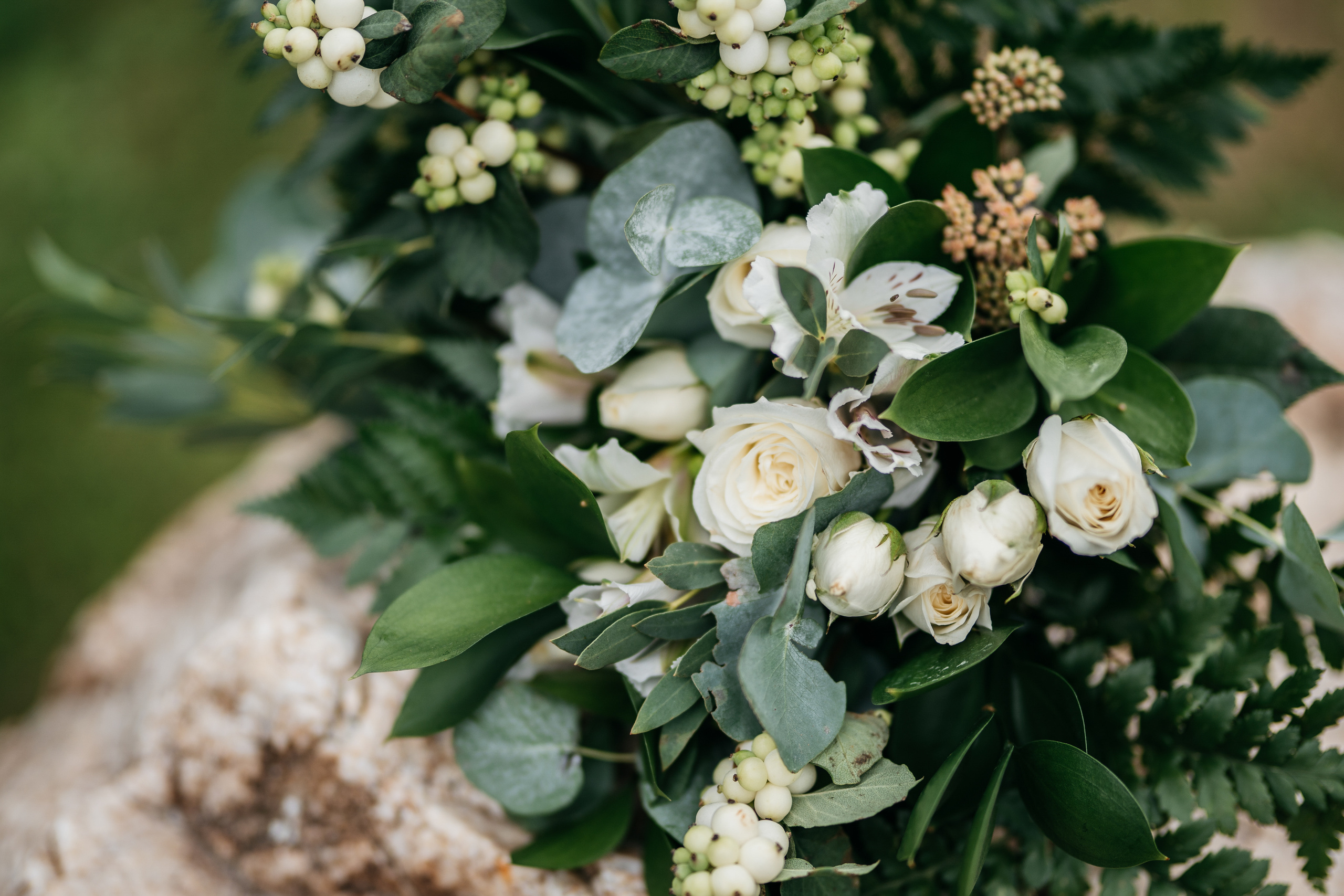 Фотограф Татьяна Мамонтова