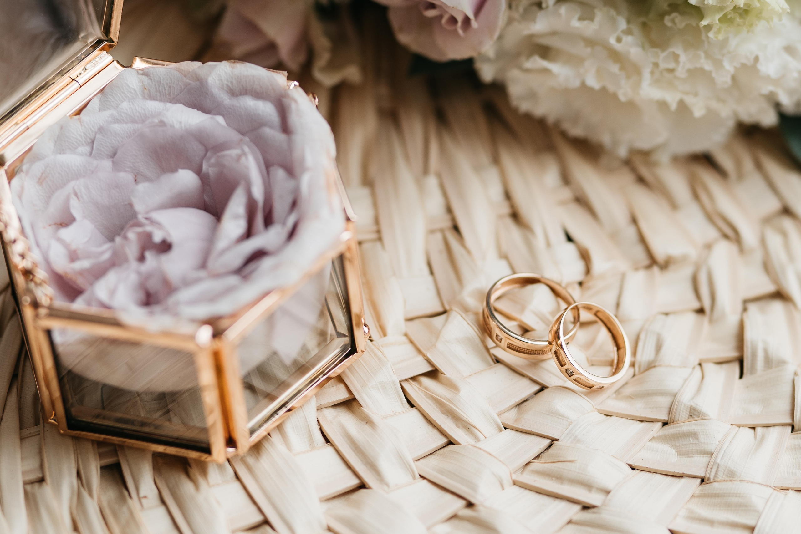 Фотограф Татьяна Мамонтова