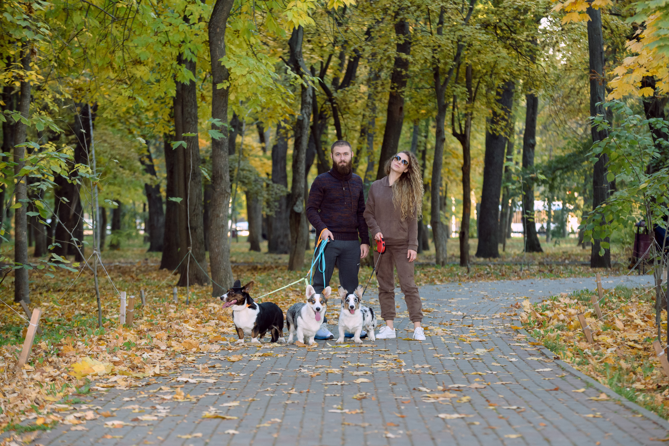 Фотосессия с вашей собакой. Фотограф в Ростове-на-Дону Маркер Елена