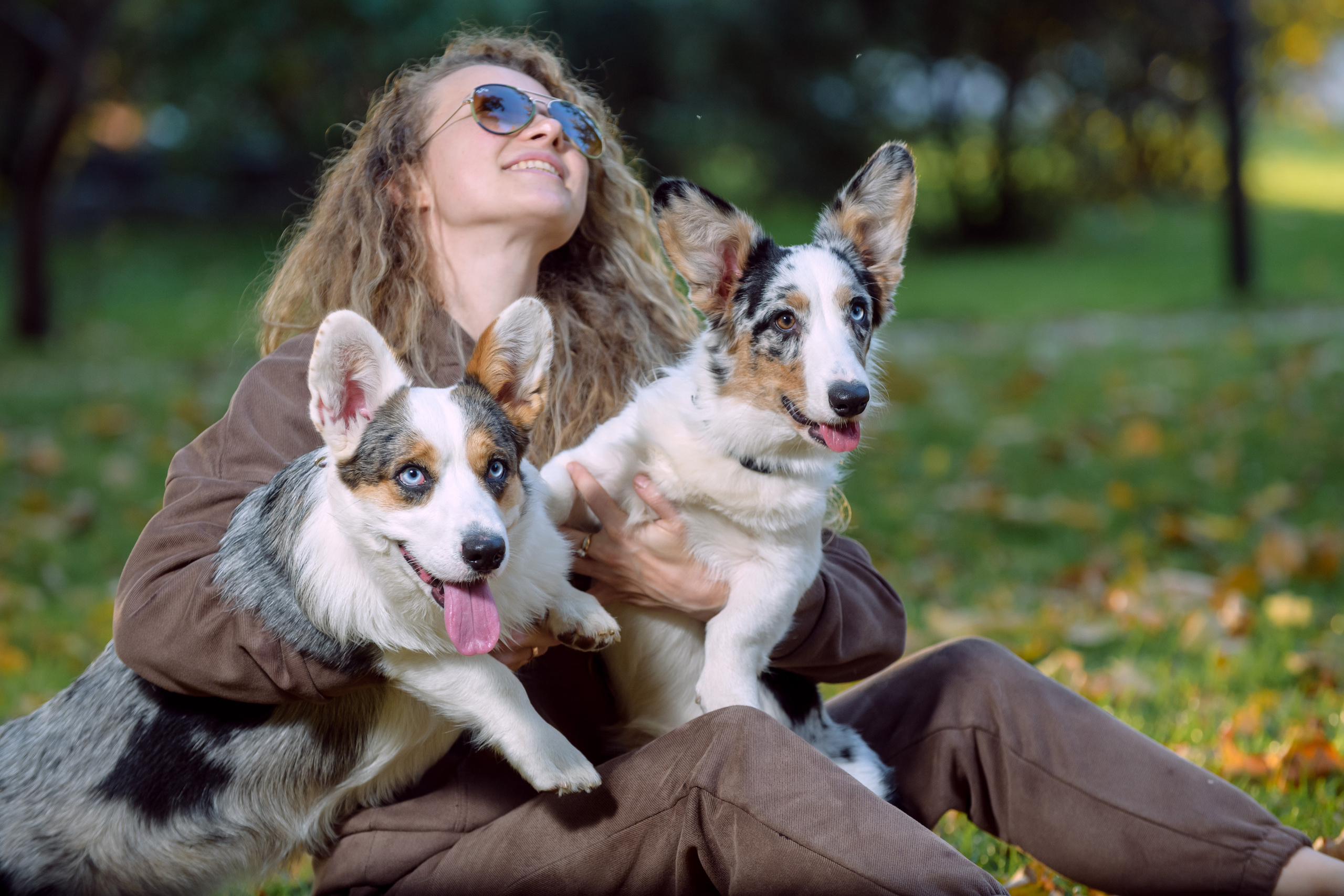 Фотосессия с вашей собакой. Фотограф в Ростове-на-Дону Маркер Елена