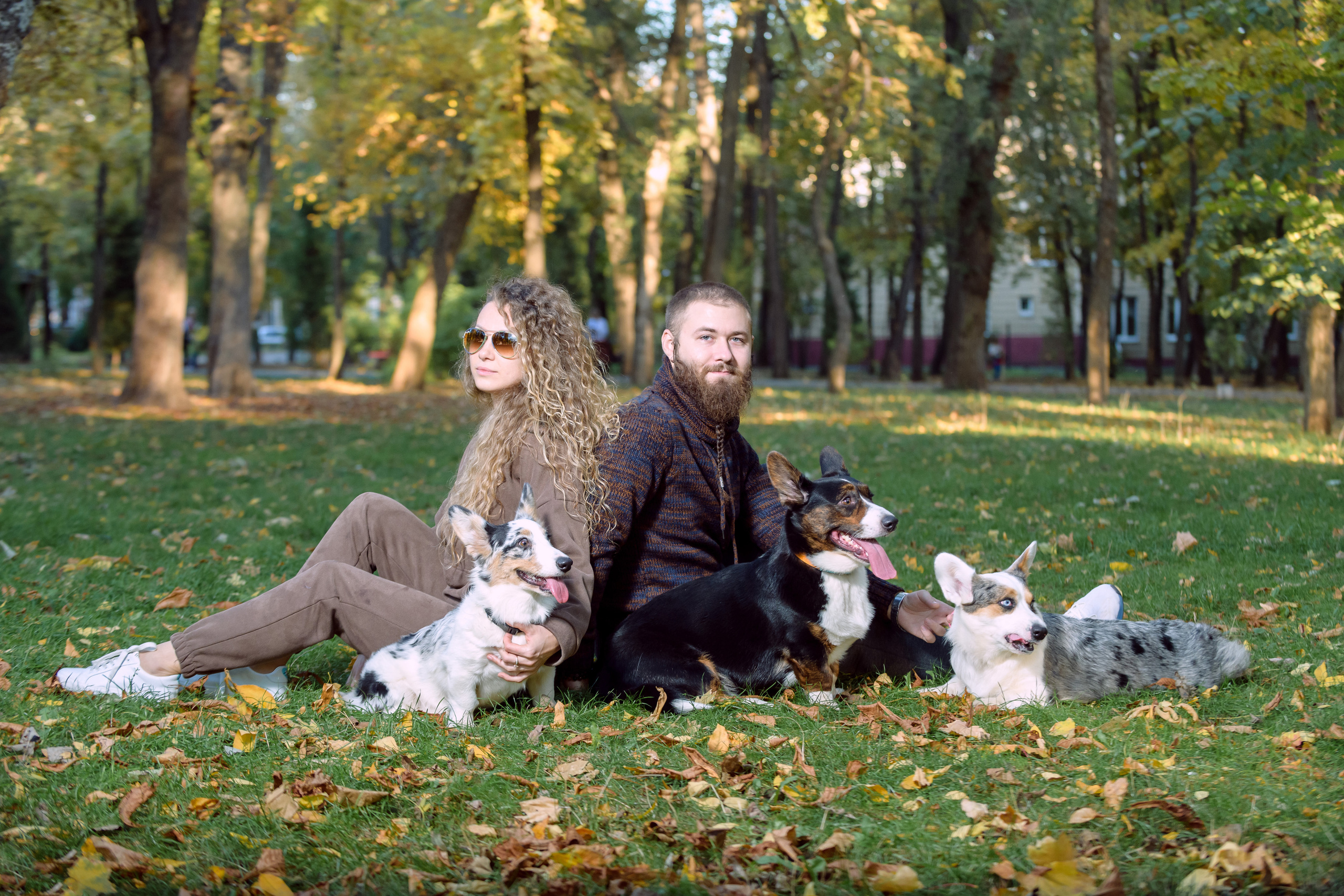 Фотосессия с вашей собакой. Фотограф в Ростове-на-Дону Маркер Елена