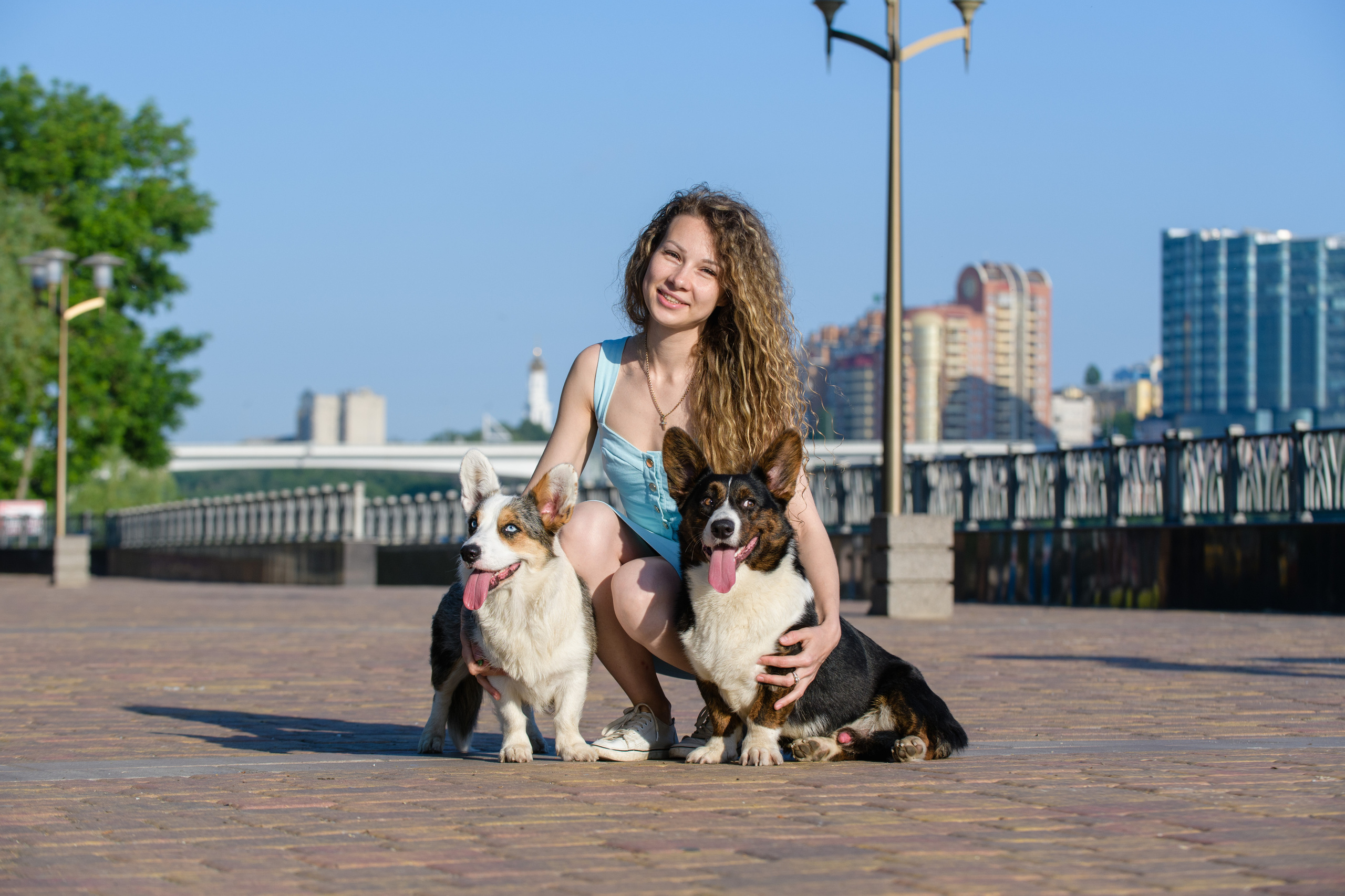 Фотосессия с вашей собакой. Фотограф в Ростове-на-Дону Маркер Елена